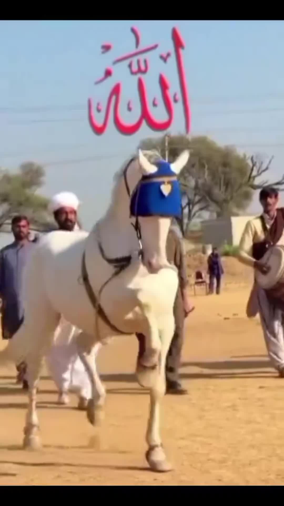 @🥰🥰সুখ পাখি 🥰🥰