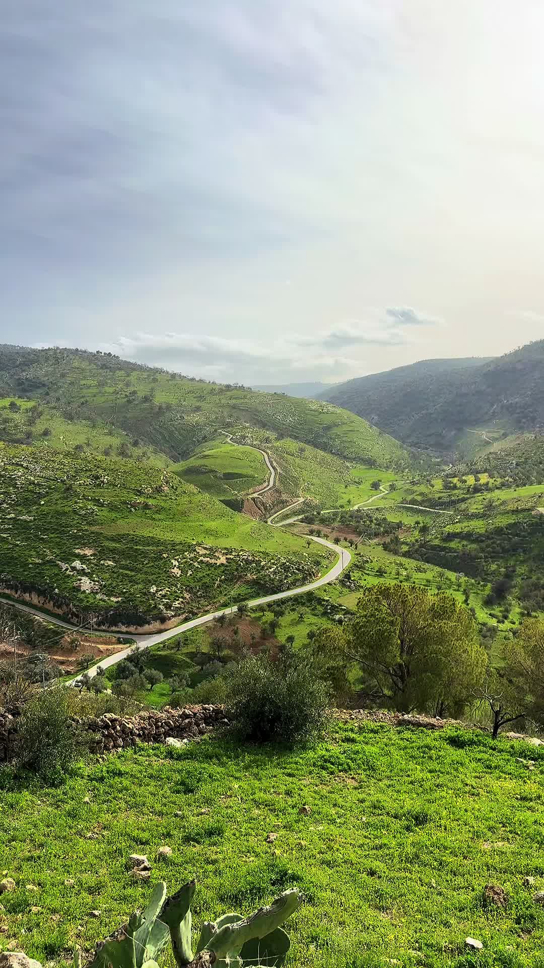 @Leen Wadi