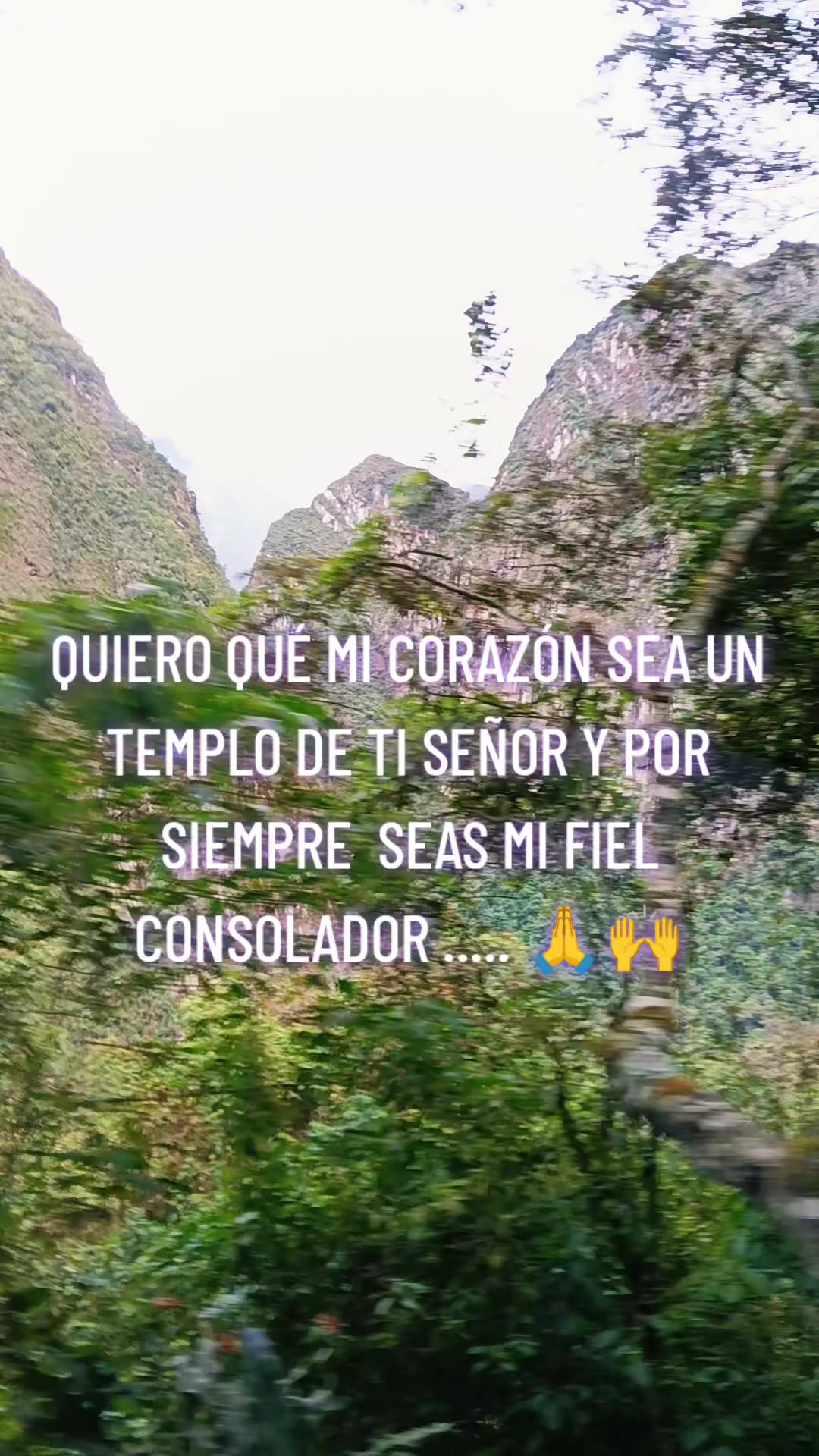 @LauMarleM🇵🇪💚