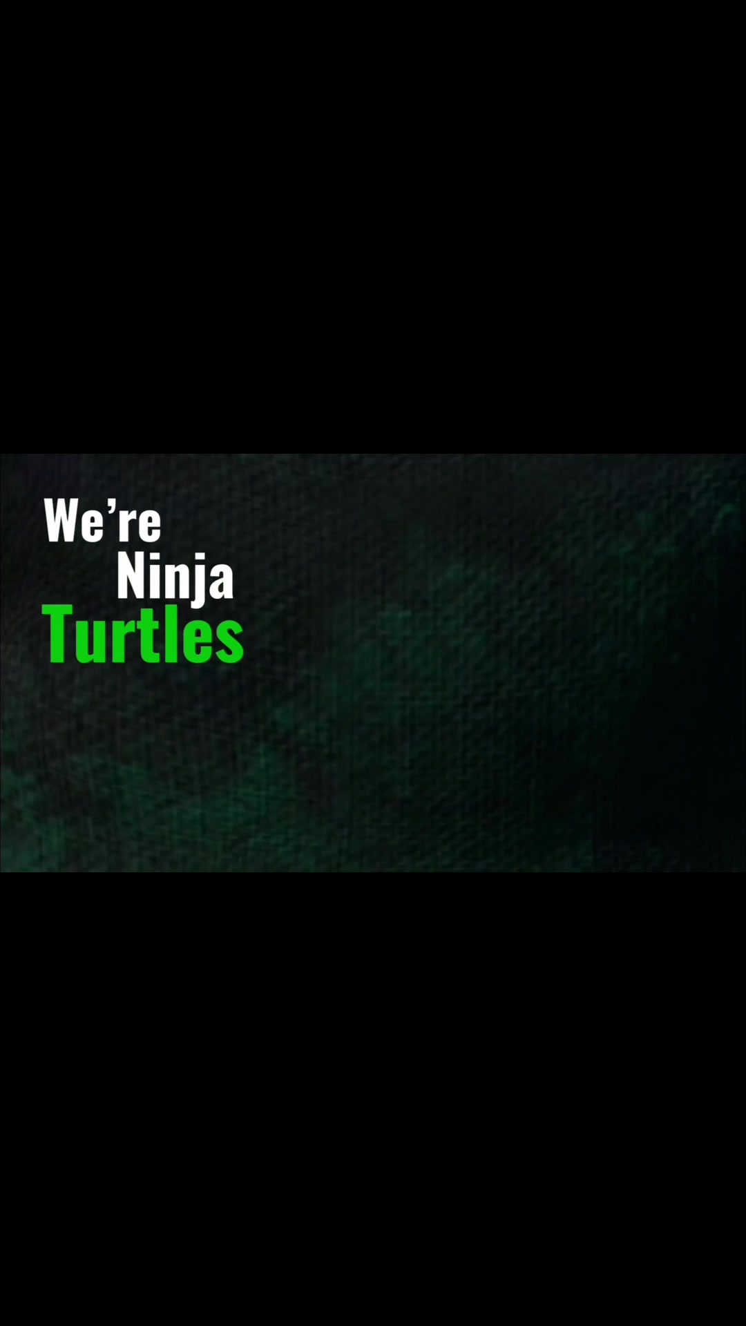 @i_mwturtles