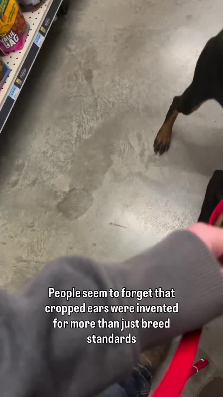 @Zara & Hailey