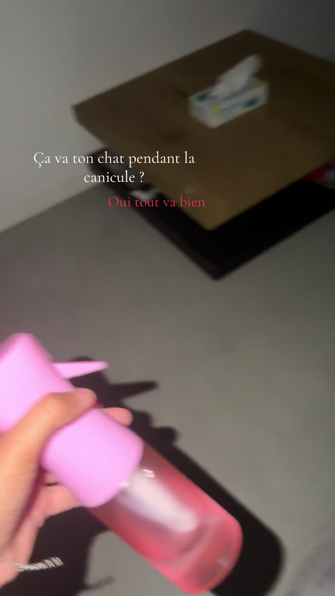 @liloo.etc