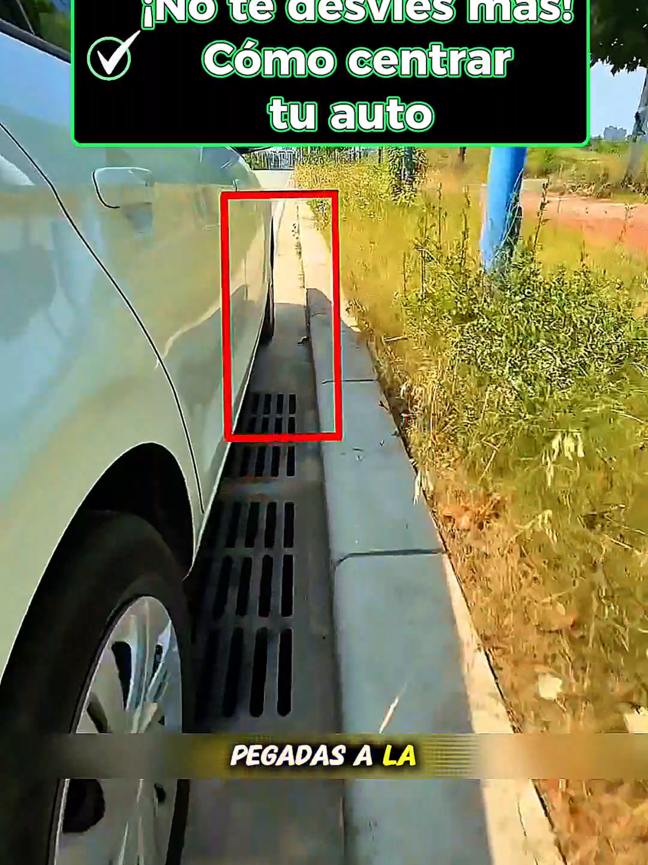 @MEC&Aacute;NICO EXPERTO