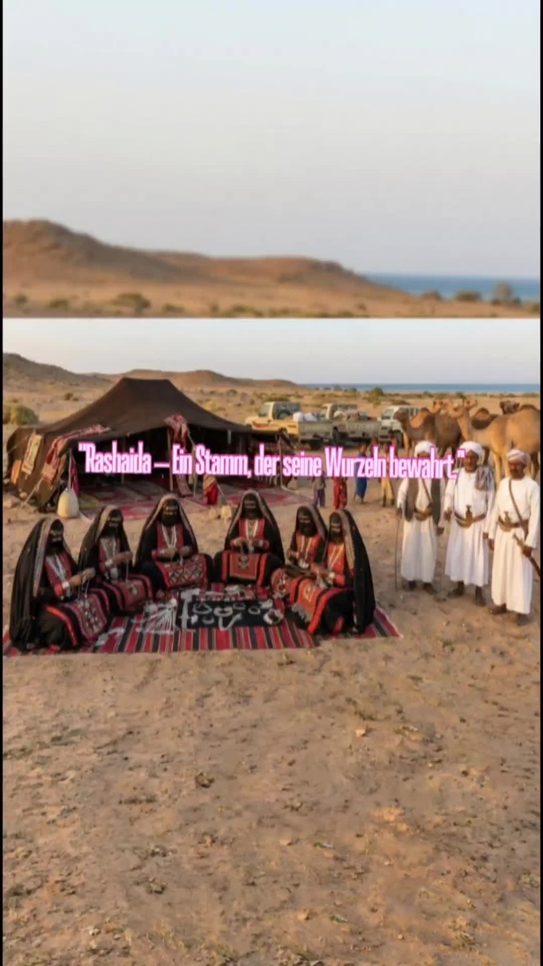 @dna_history0