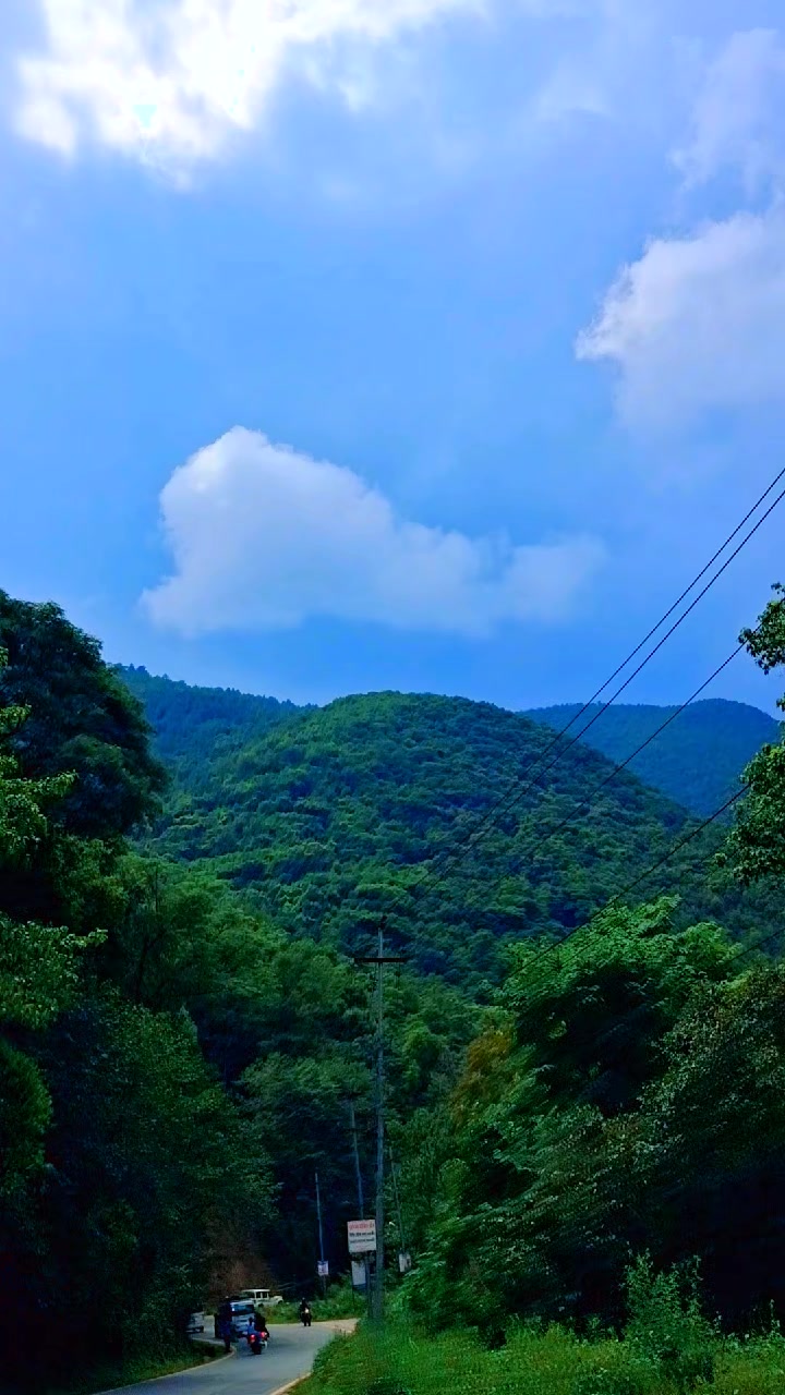 @Brinda Karki