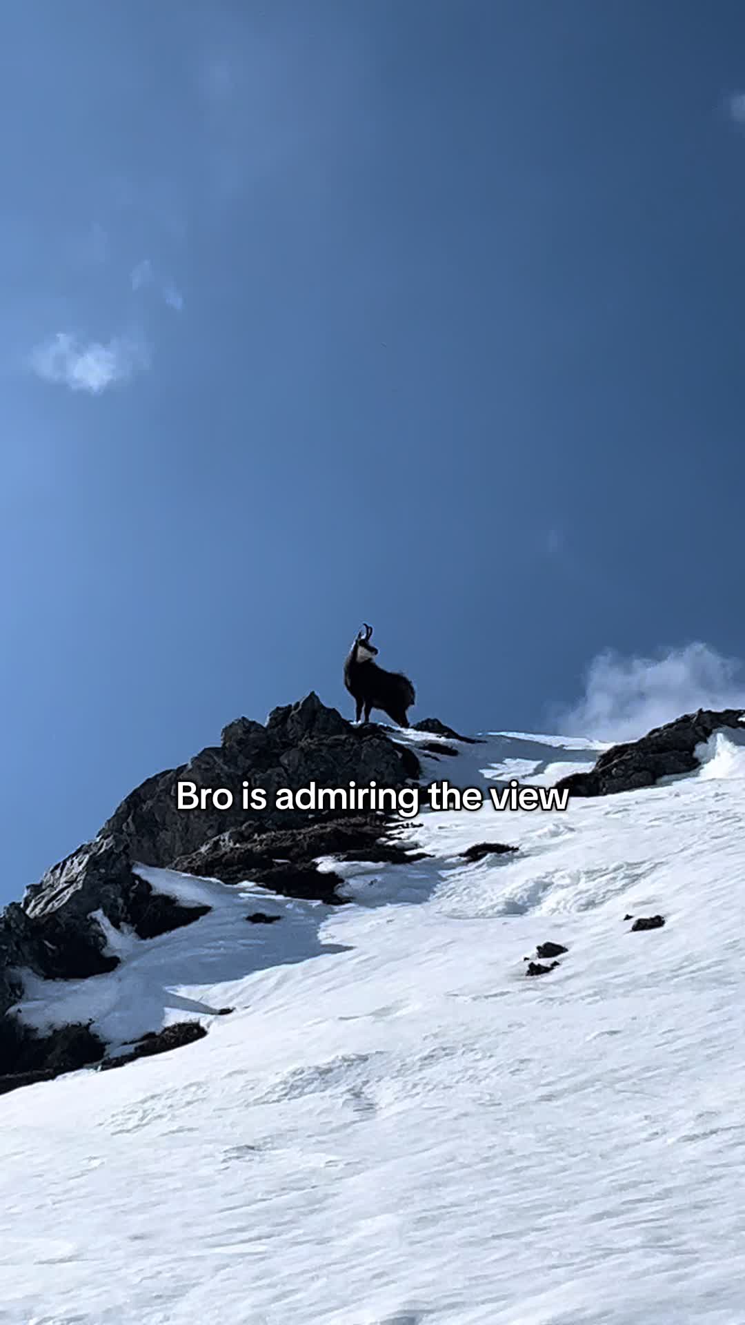 @Sweder🏔️