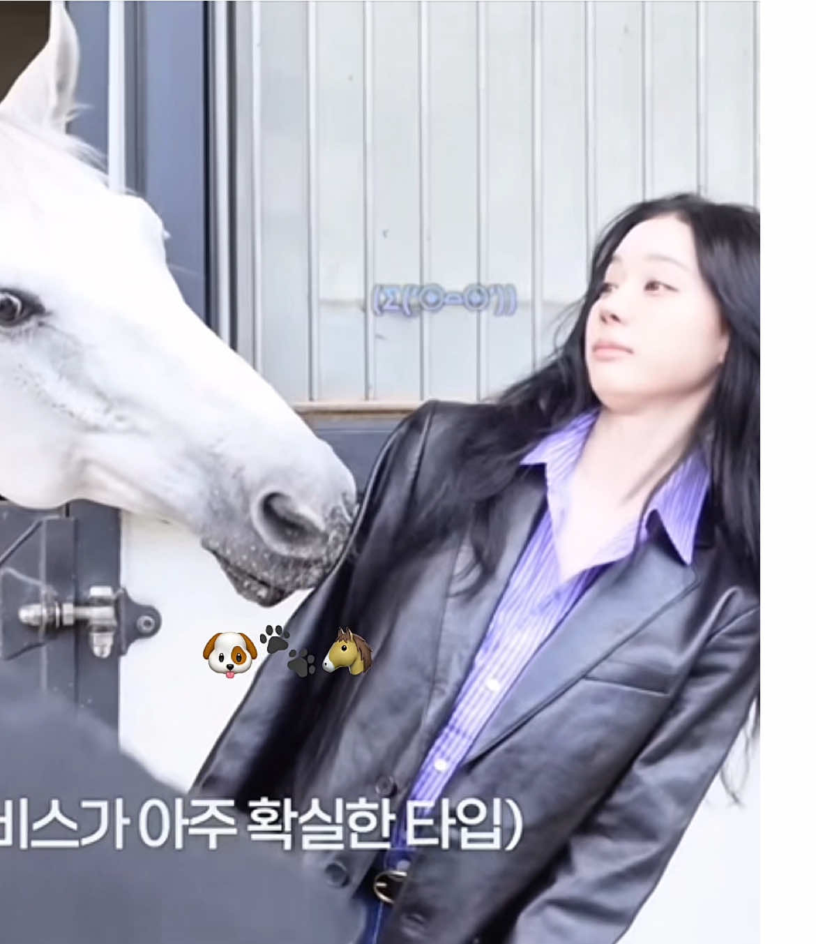 @윙쩡