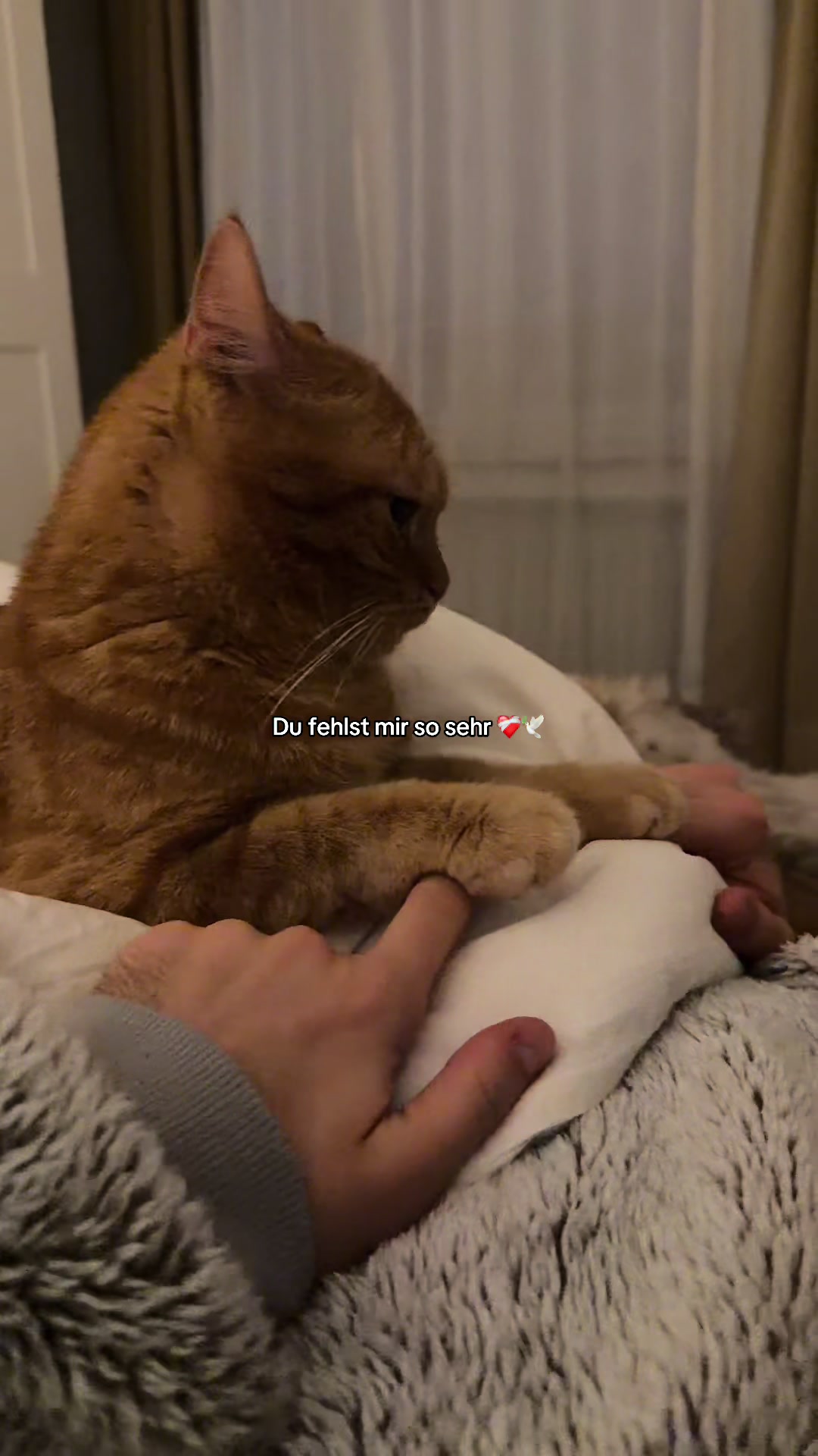 @Miska🧸📔