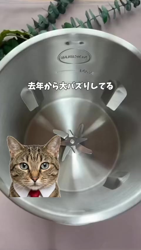 @しんのすけ🐾