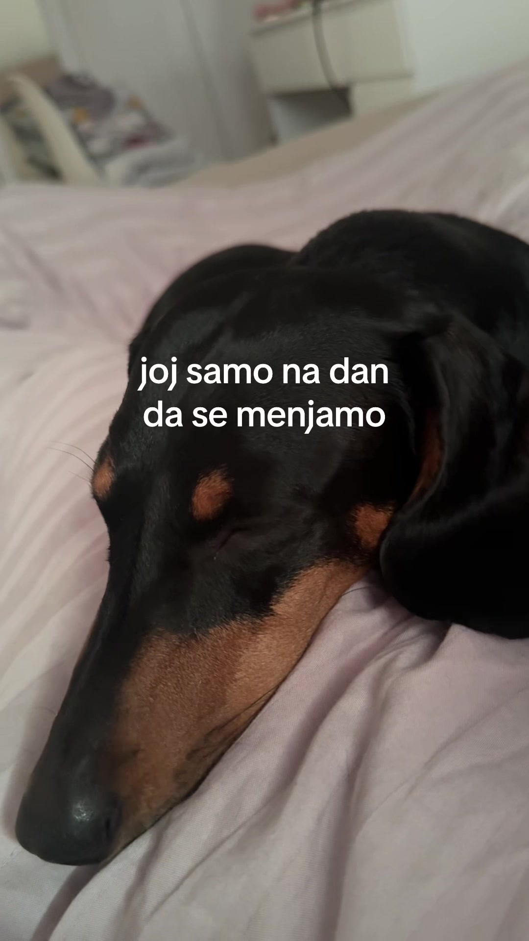 @Minja Varsaković