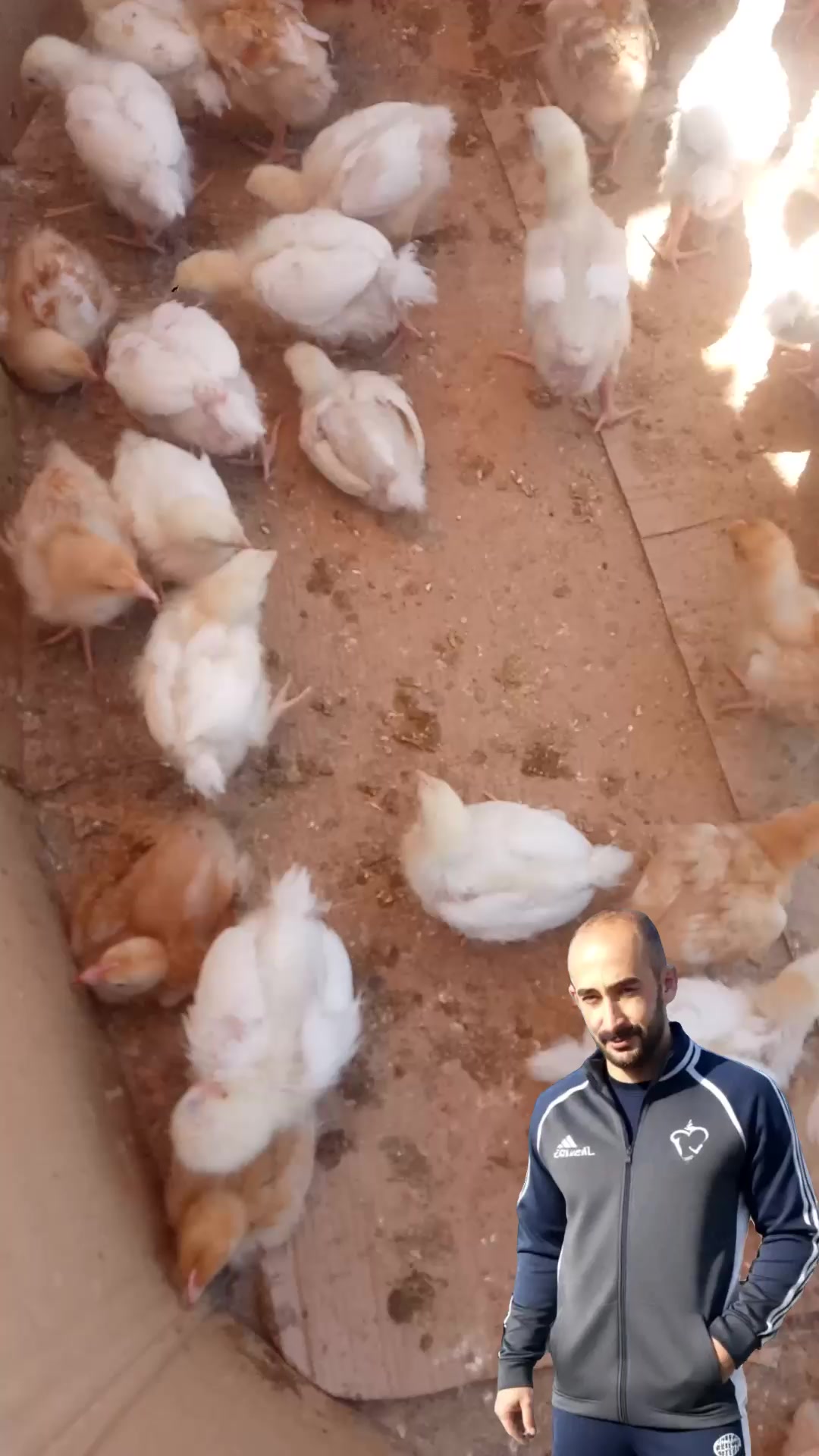 @nefretimsin dünya
