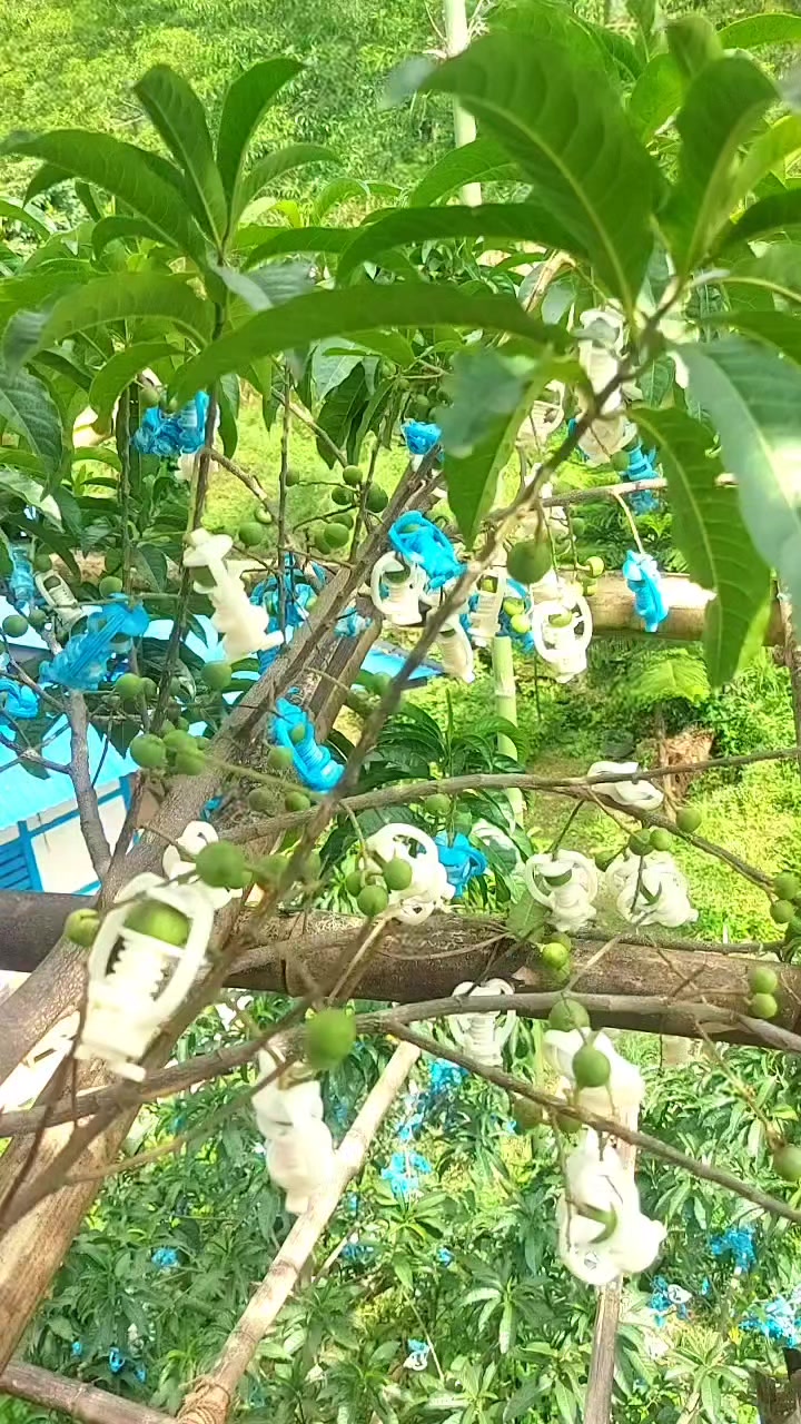 @मणि अन्योल मगर :❤✌️