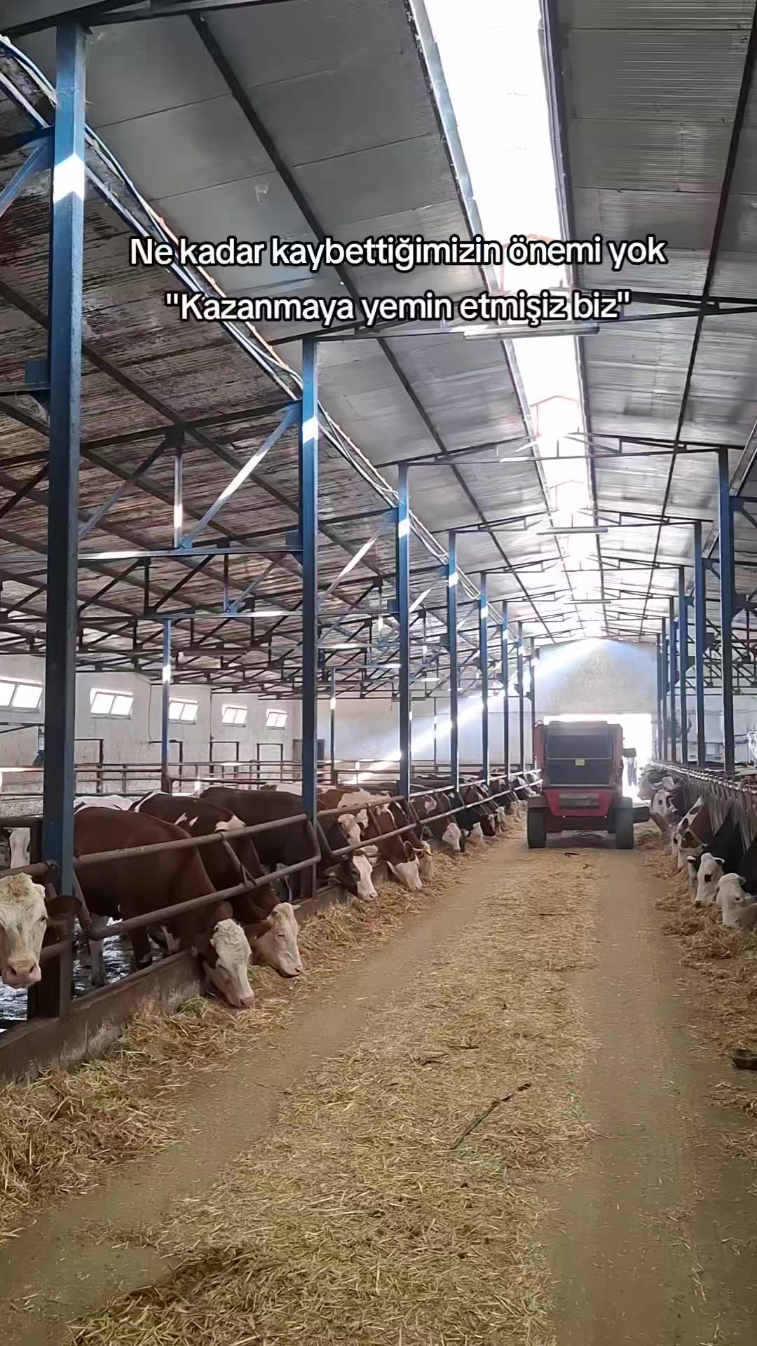 @💎 MUSTAFA AKCAN 💎