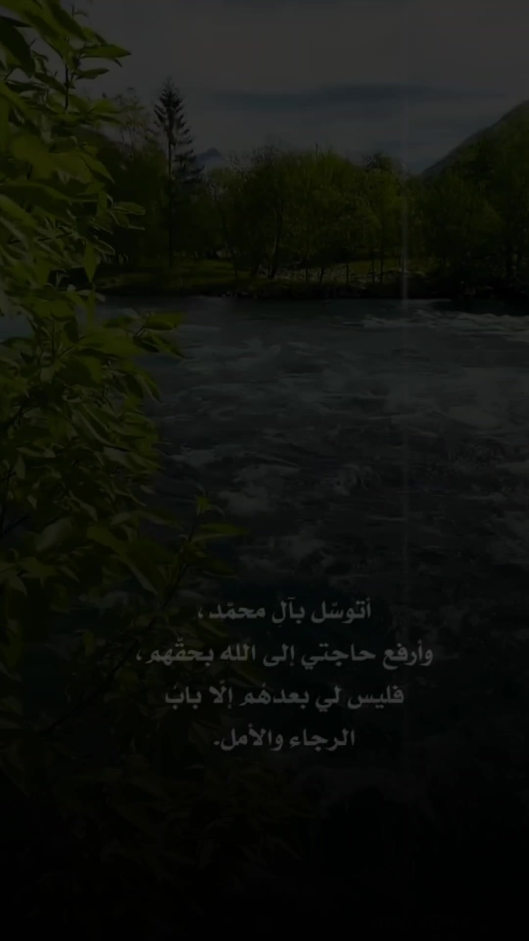 @واثقه بالله