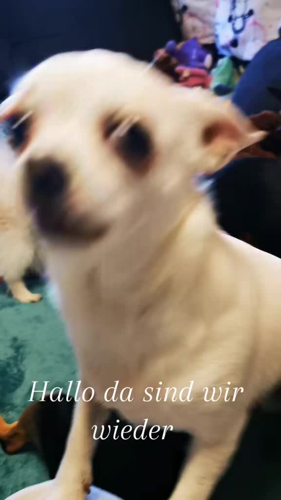 @Hopestyle