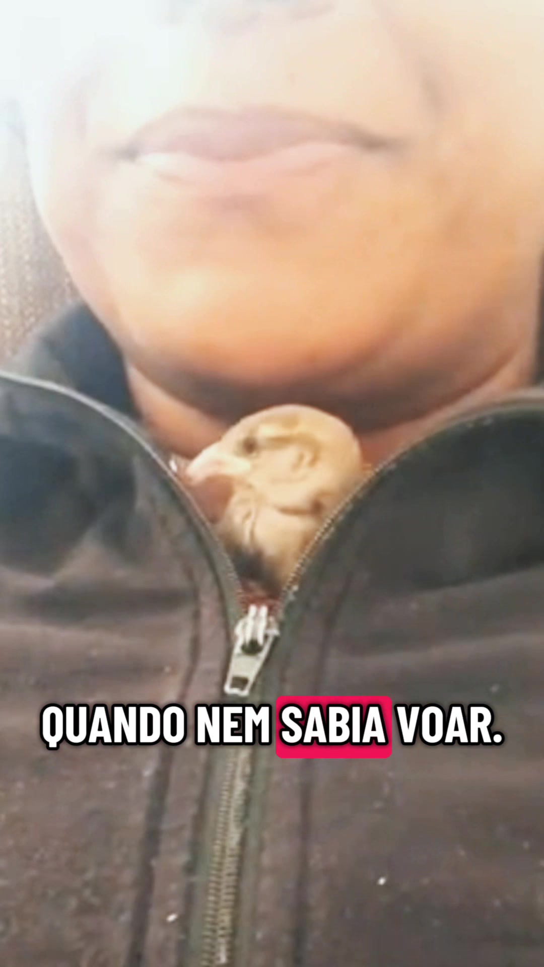 @Elisabete Silva