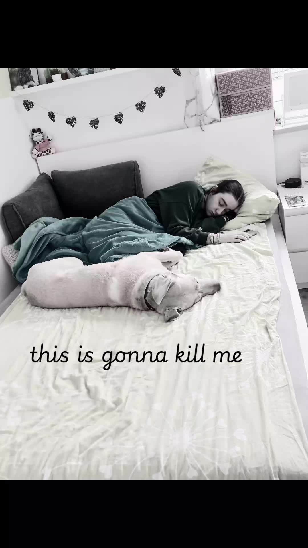 @Vanessa🩼💊