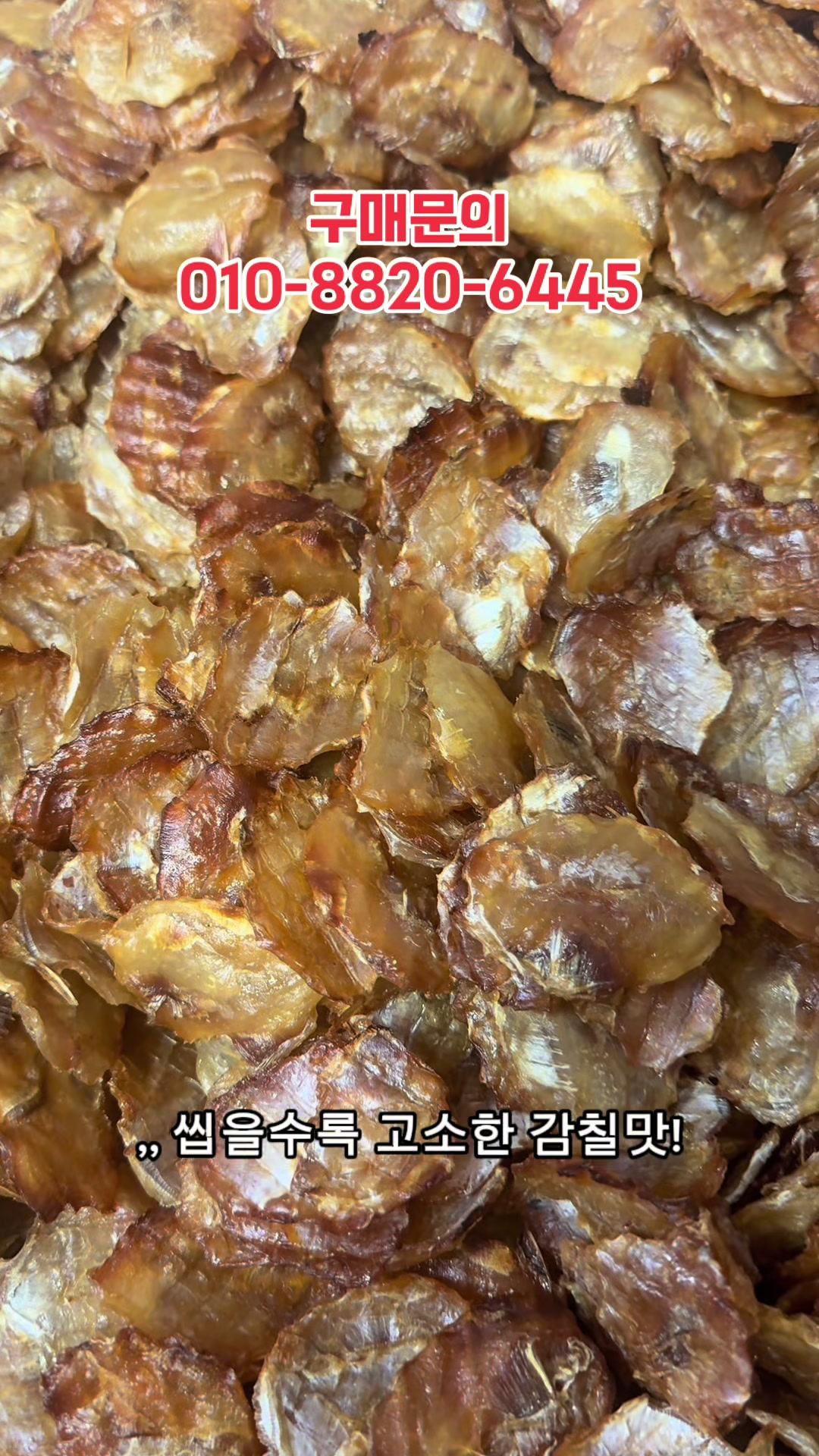 @숭사장건어물(숭사장오징어)🦑