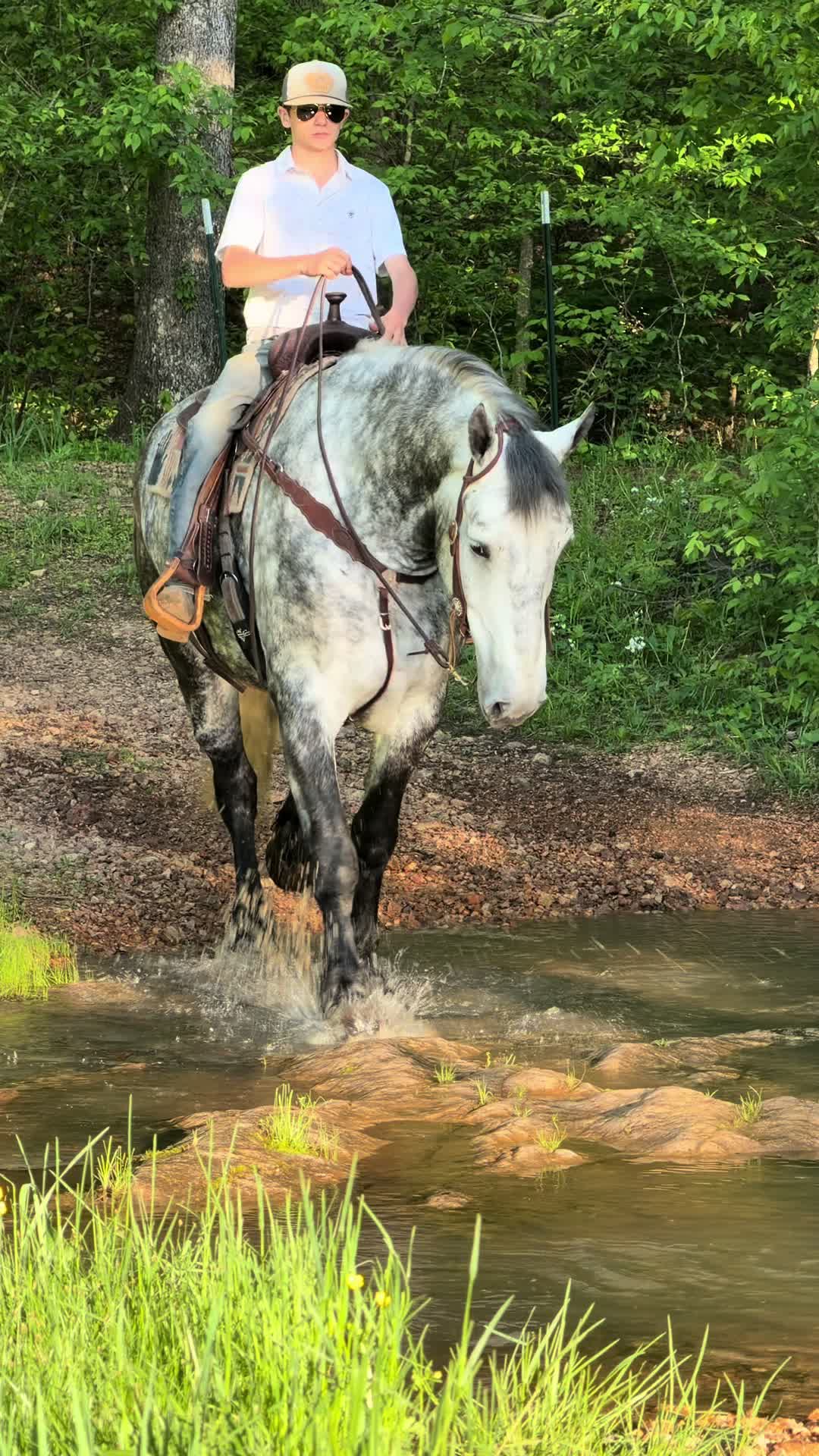 @Lucky D Ranch 🍀
