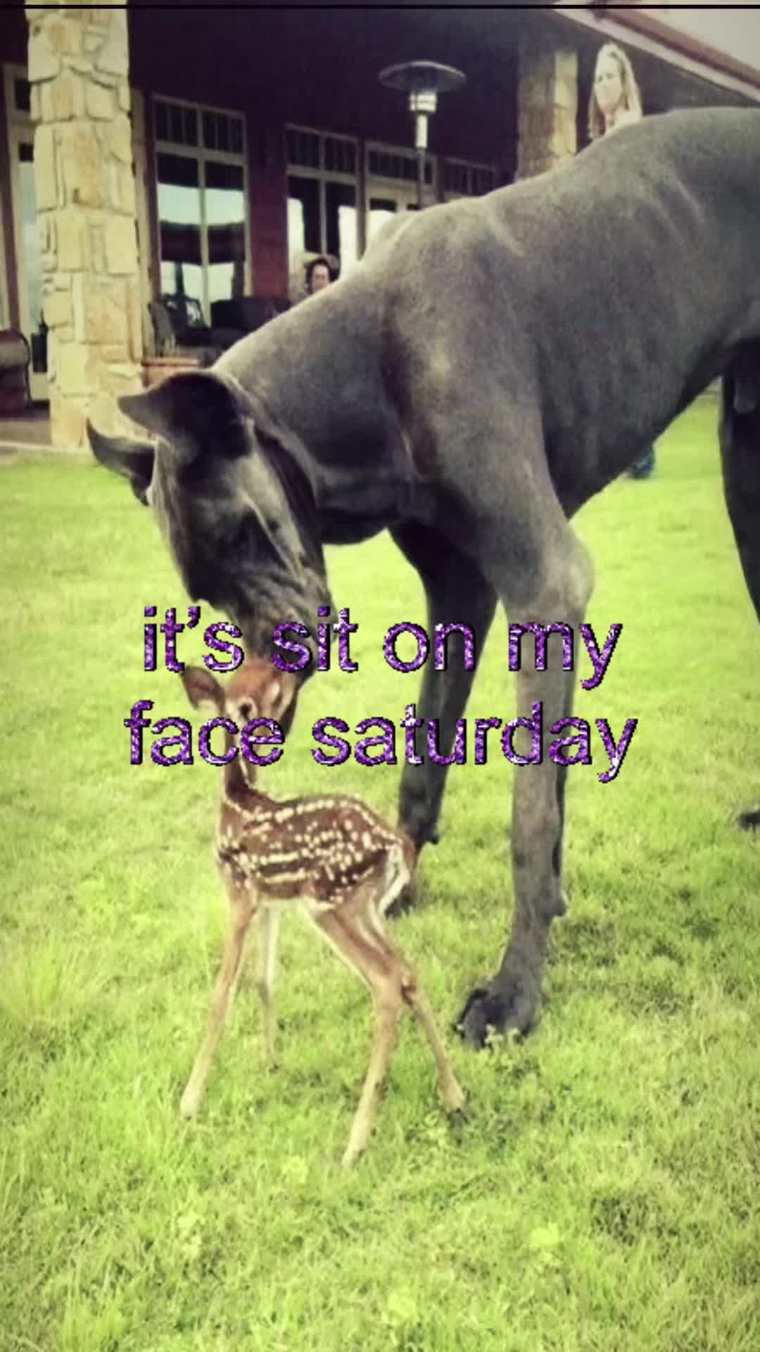 @livinlikedis