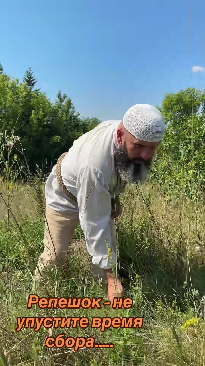 @СЕРЁГА БОРОДА