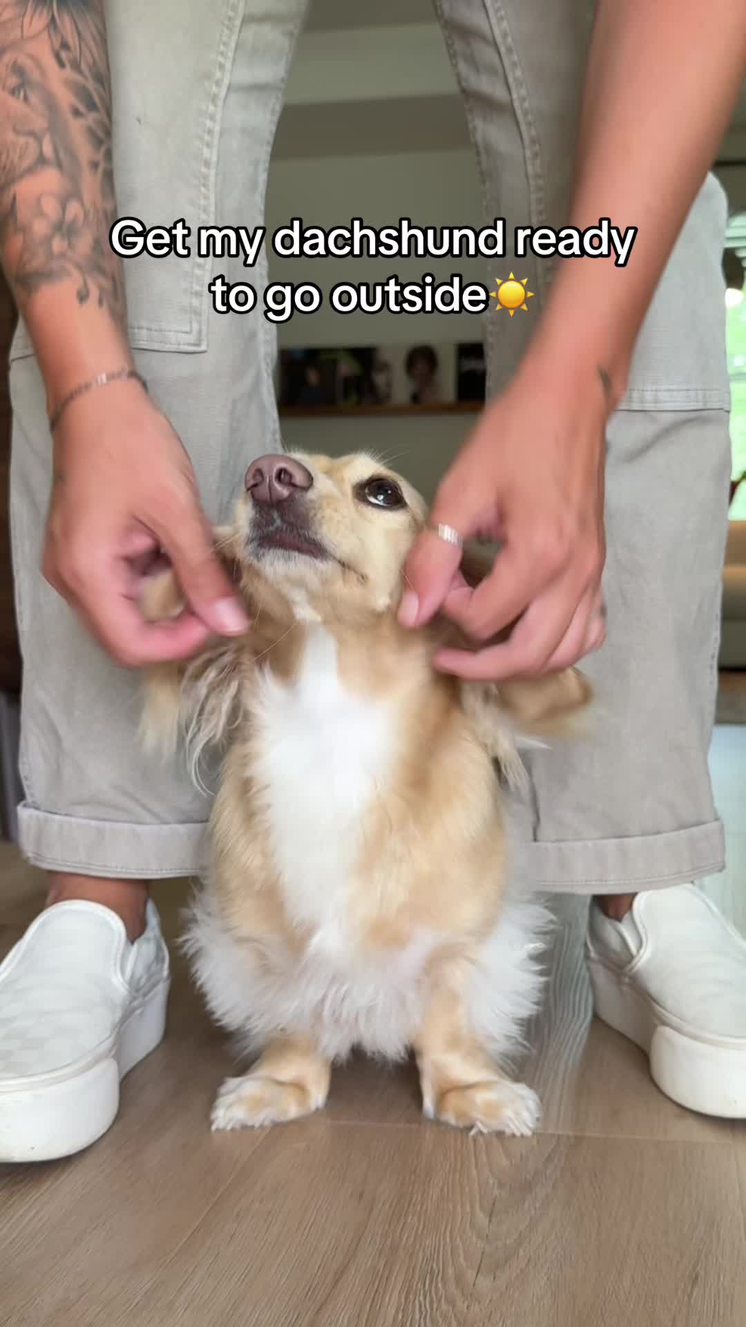 @Billiebeantheween