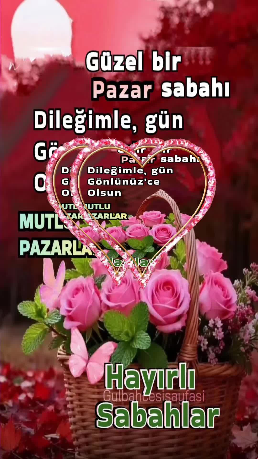 @Tennur yılamaz