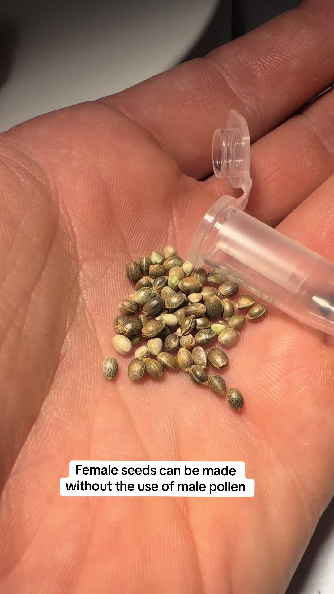 @SEEDTIVA