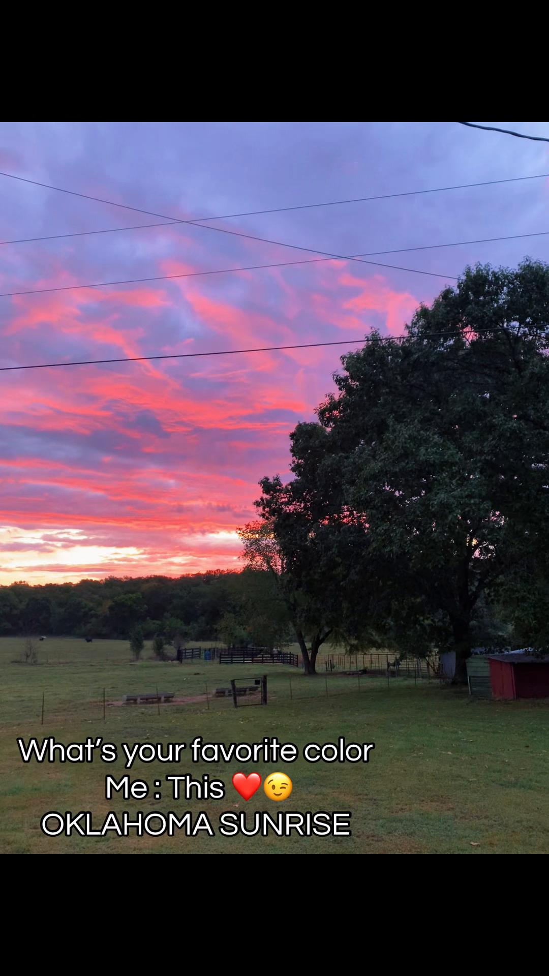 @Oklahomagreeneyes🌼