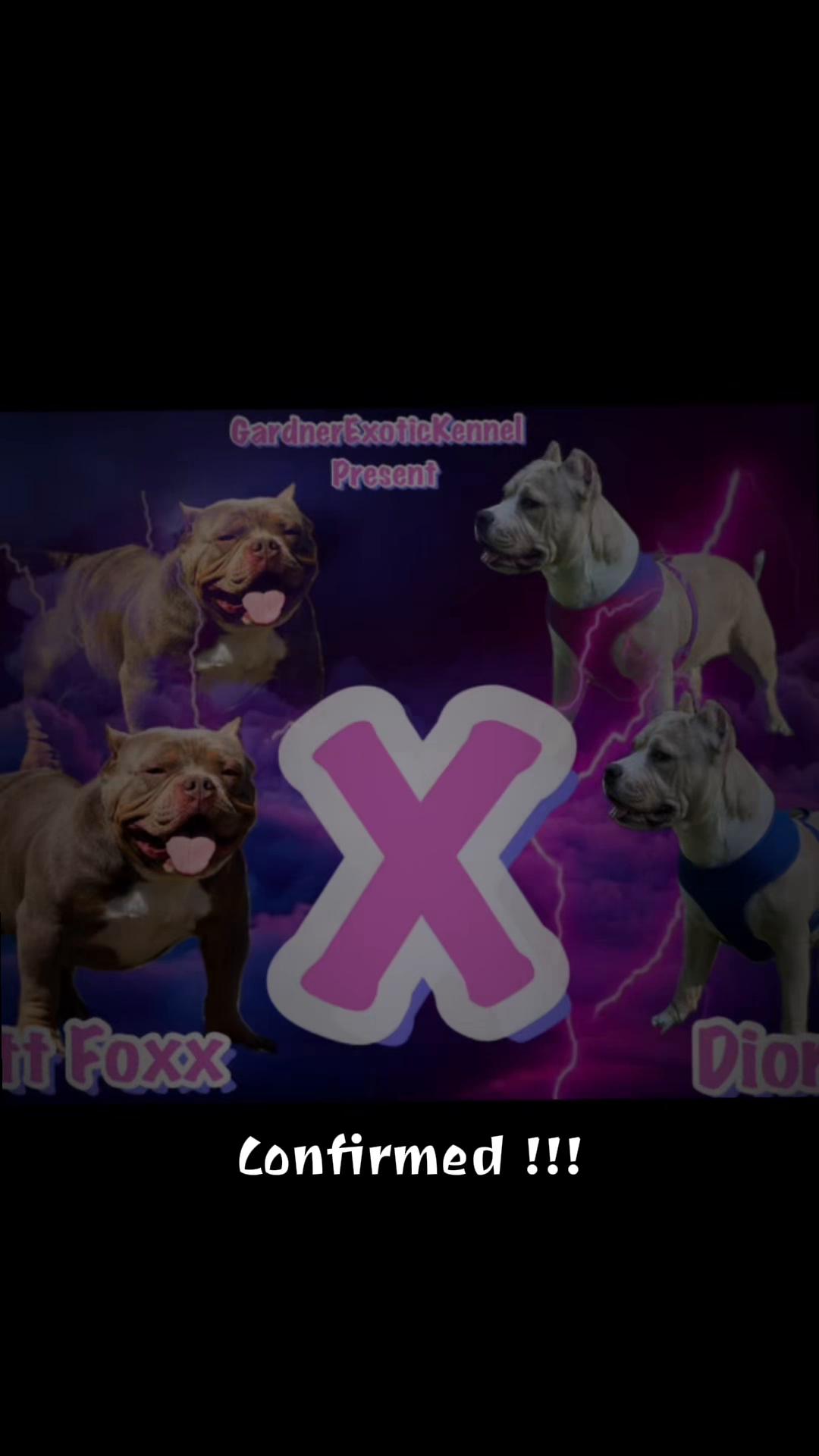 @gardnerkennel08