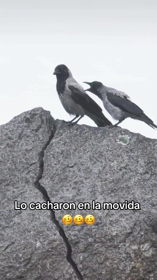 @Entretenido 💫💎💎