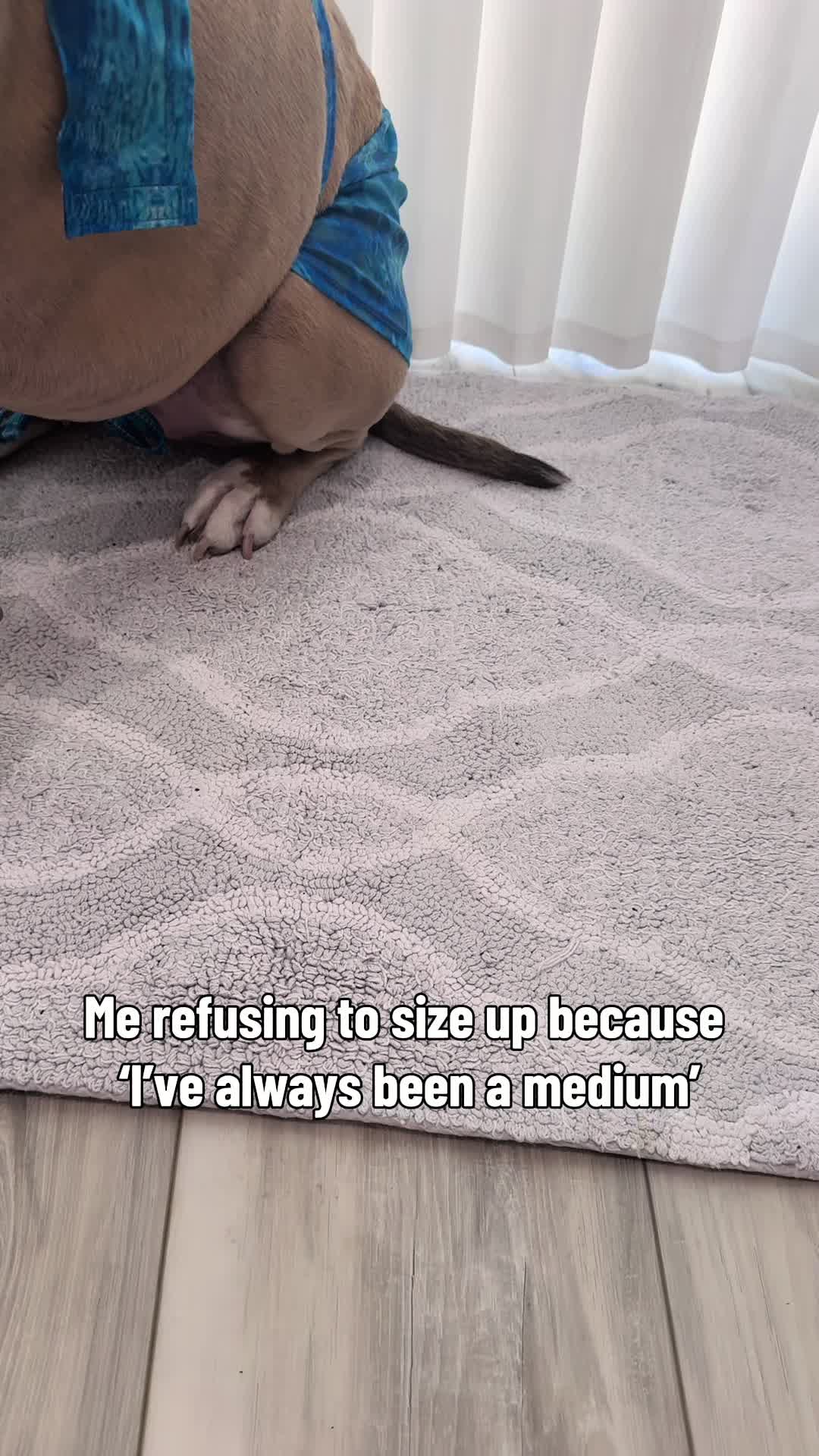 @Indie.pittie