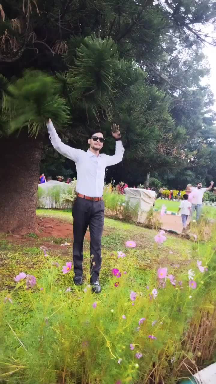 @devendrazoc
