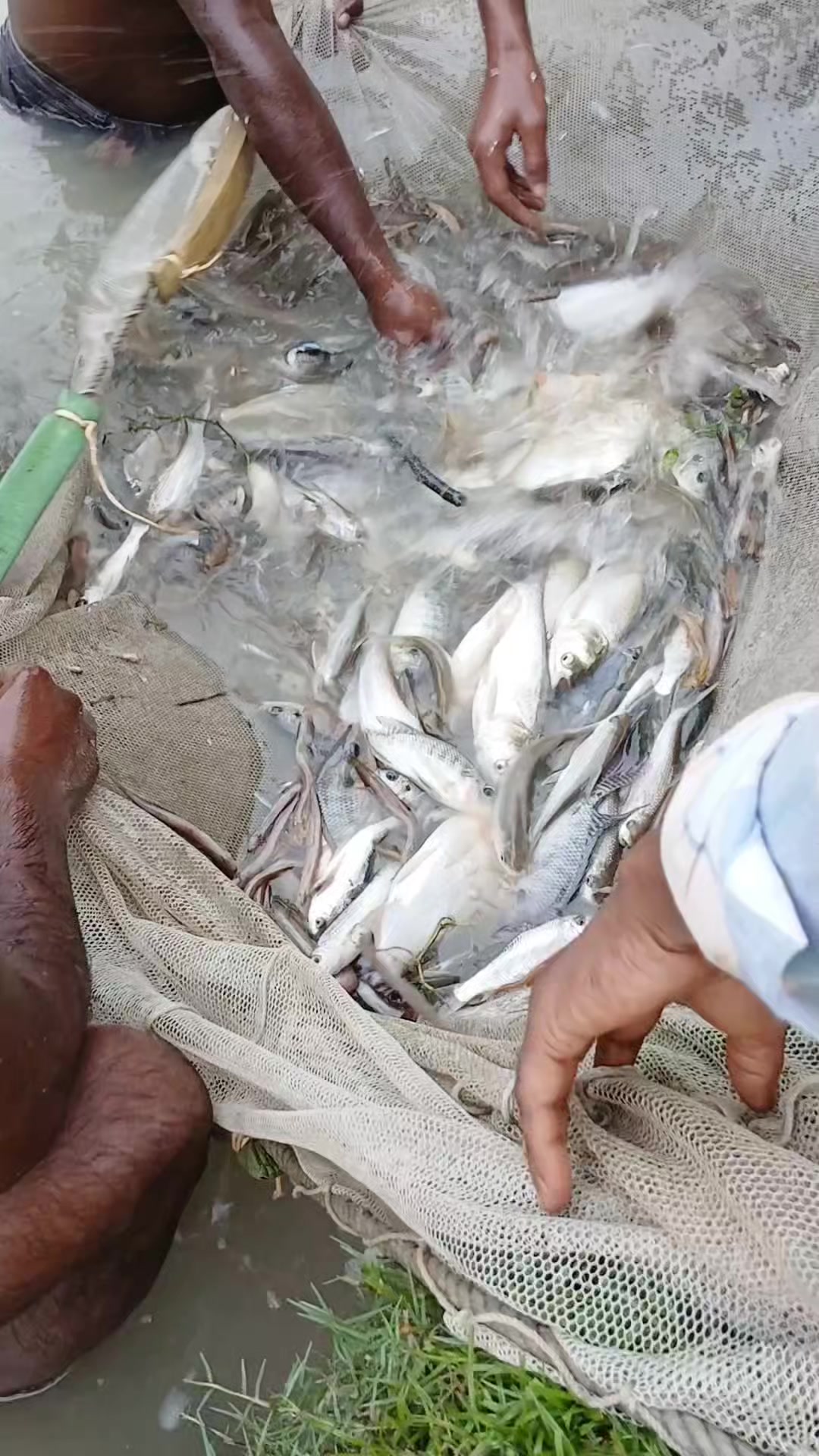 @সুজন মিয়া