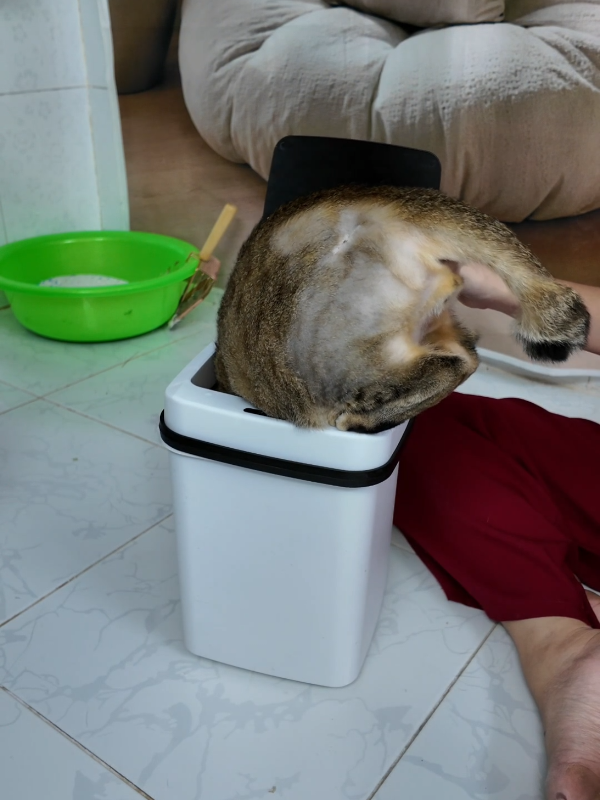 @Khế th&uacute;i