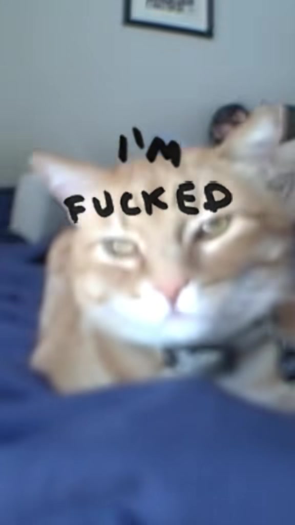 @Harmless