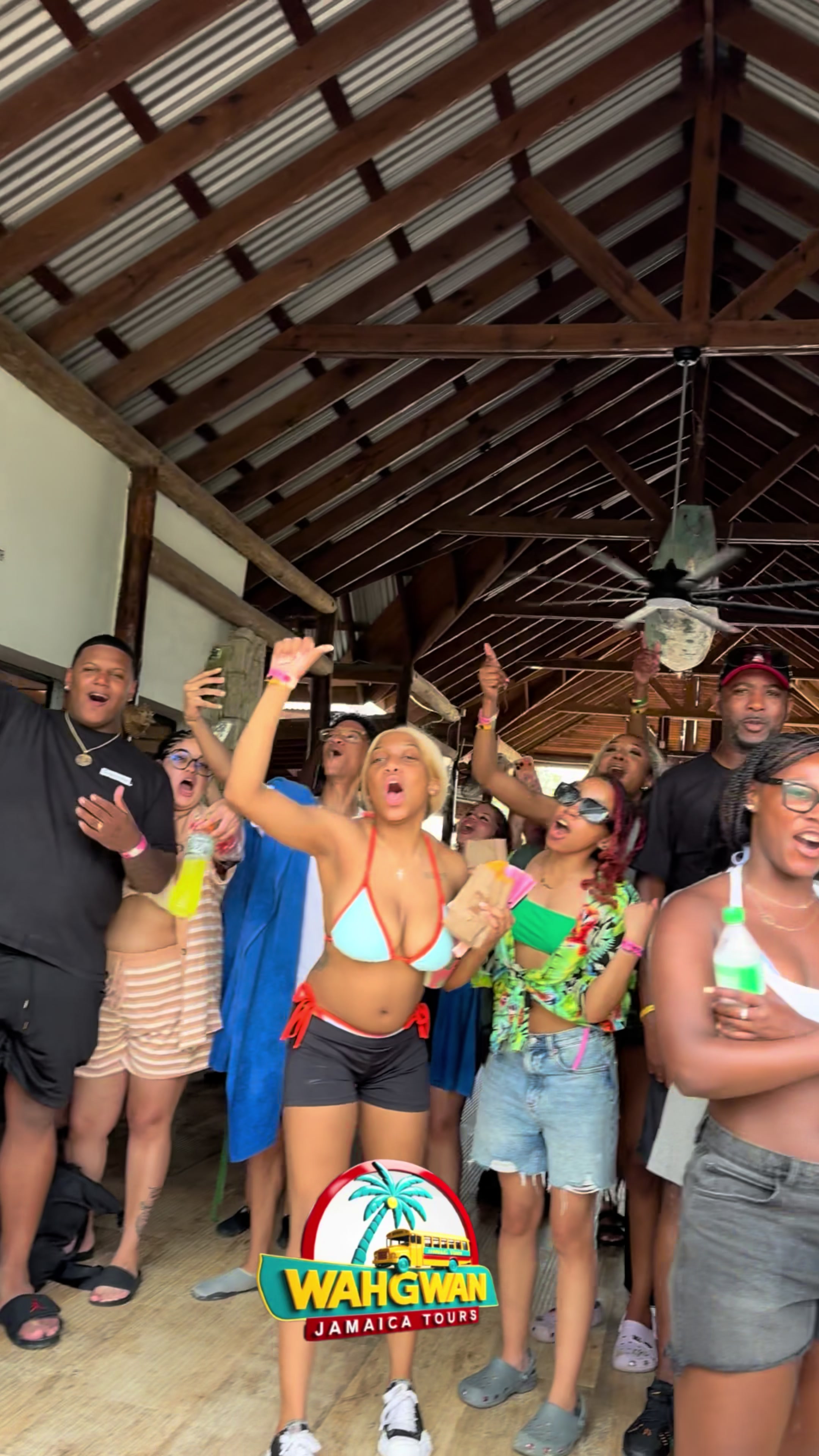 @wahgwanjamaica_tours