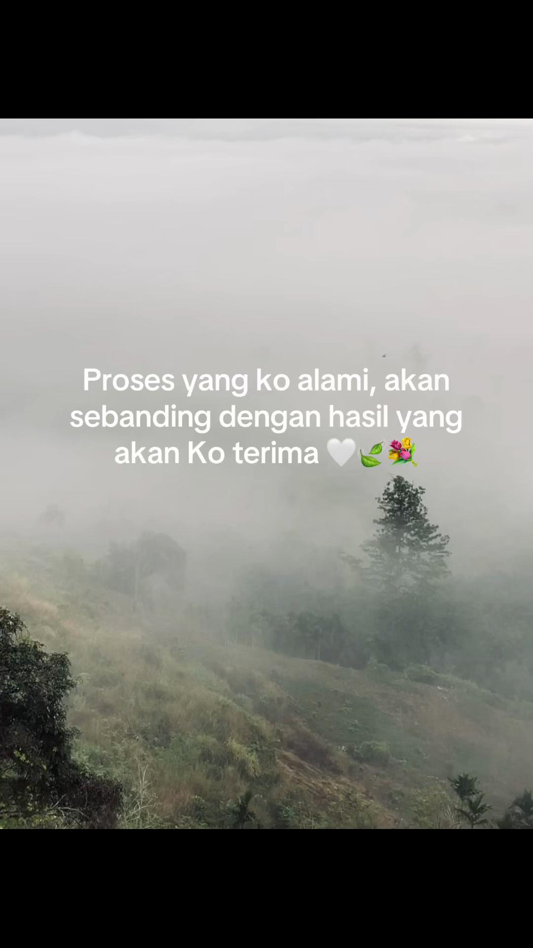 @Pikaa🦋