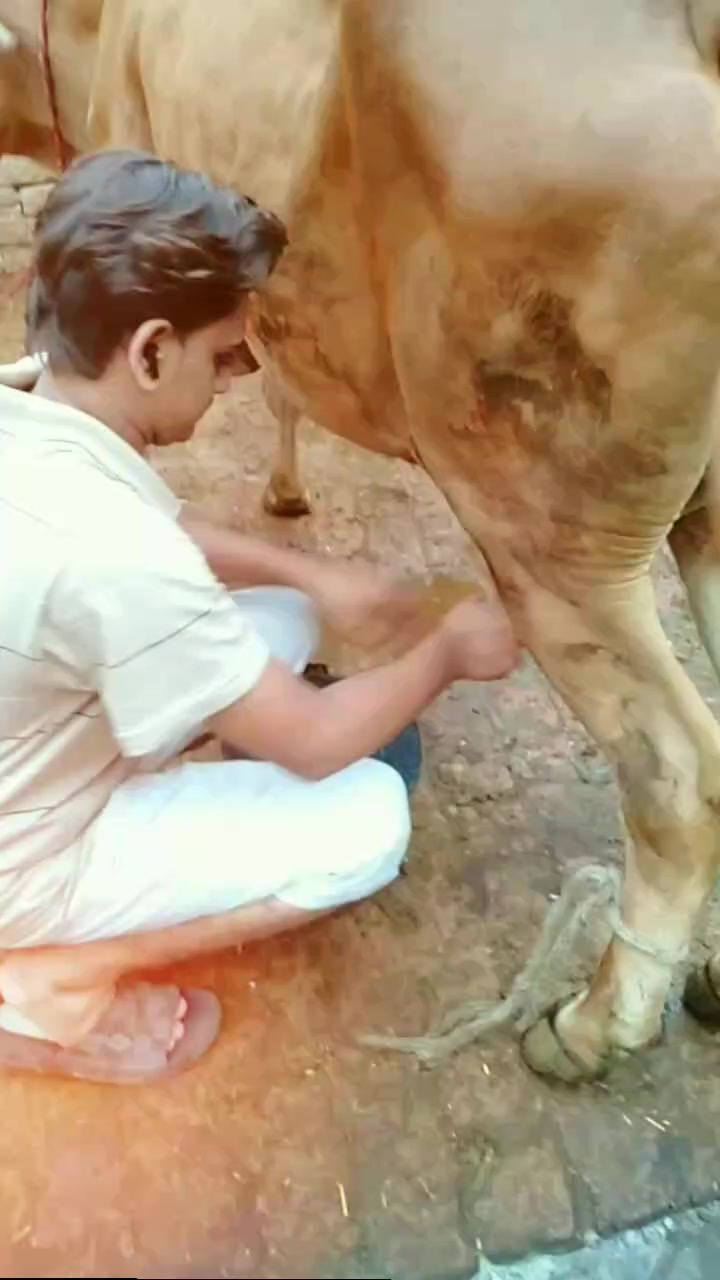 @Chtalhagujjar_62