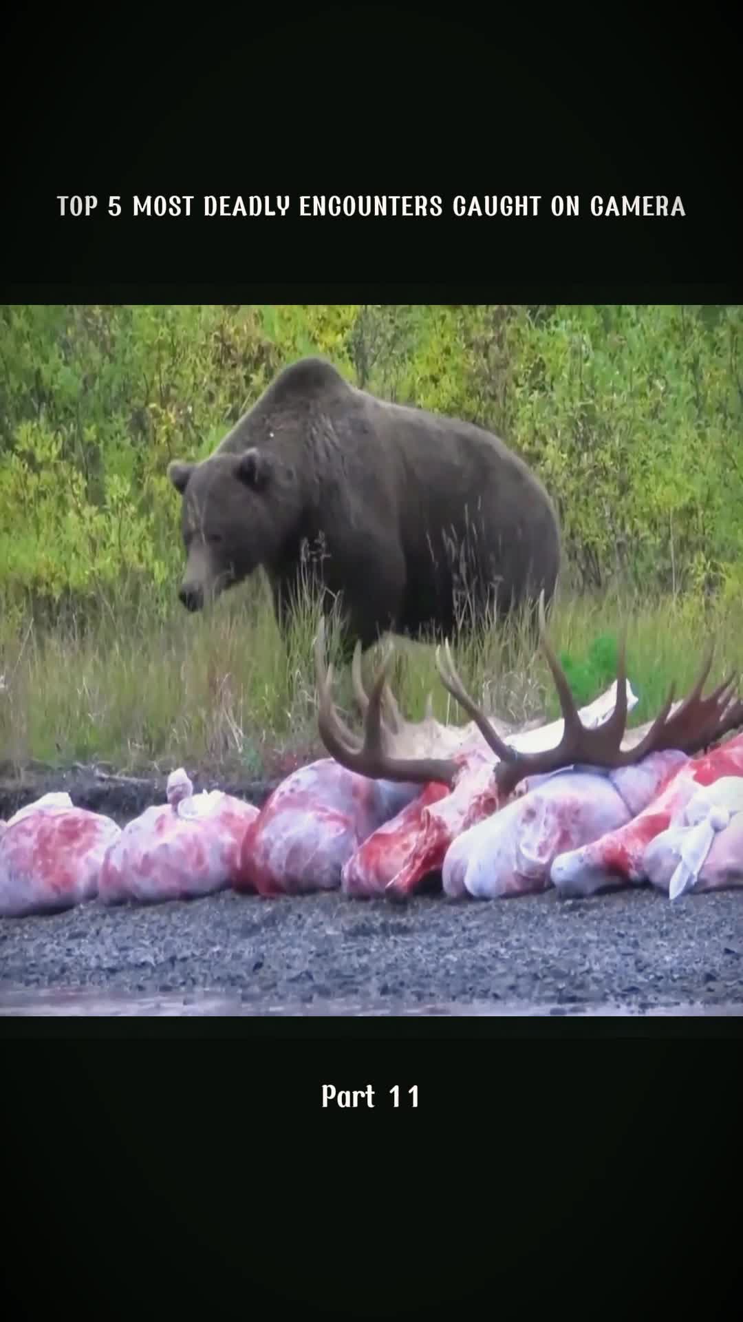 @CreepyStories