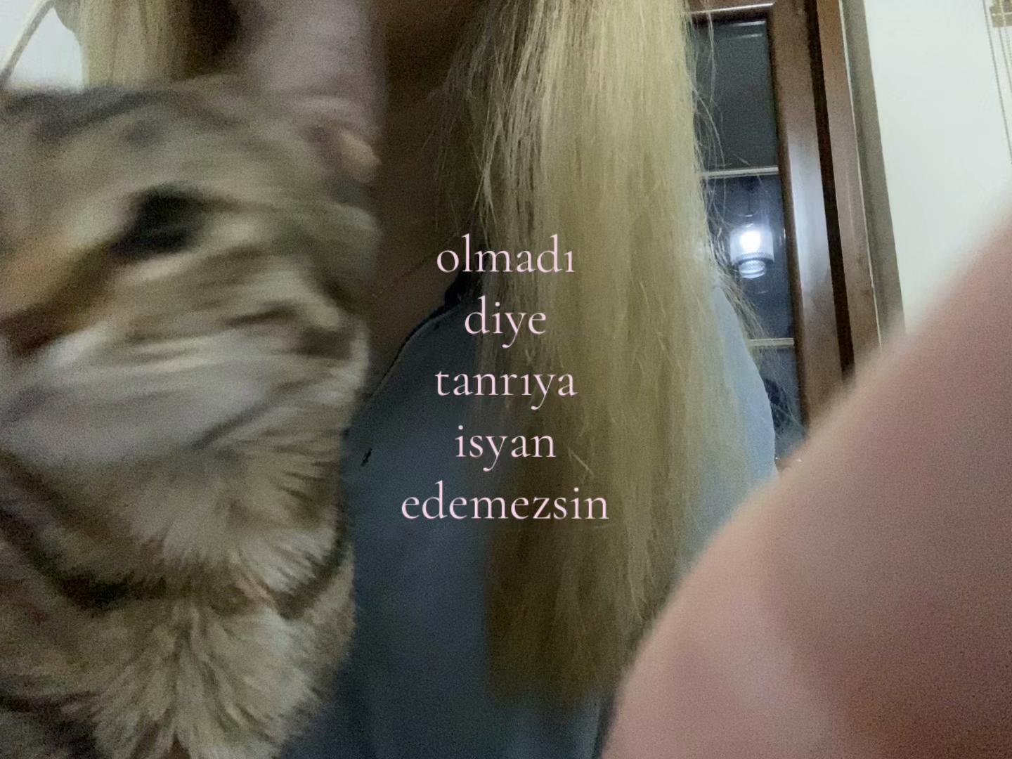 @gülse🦈
