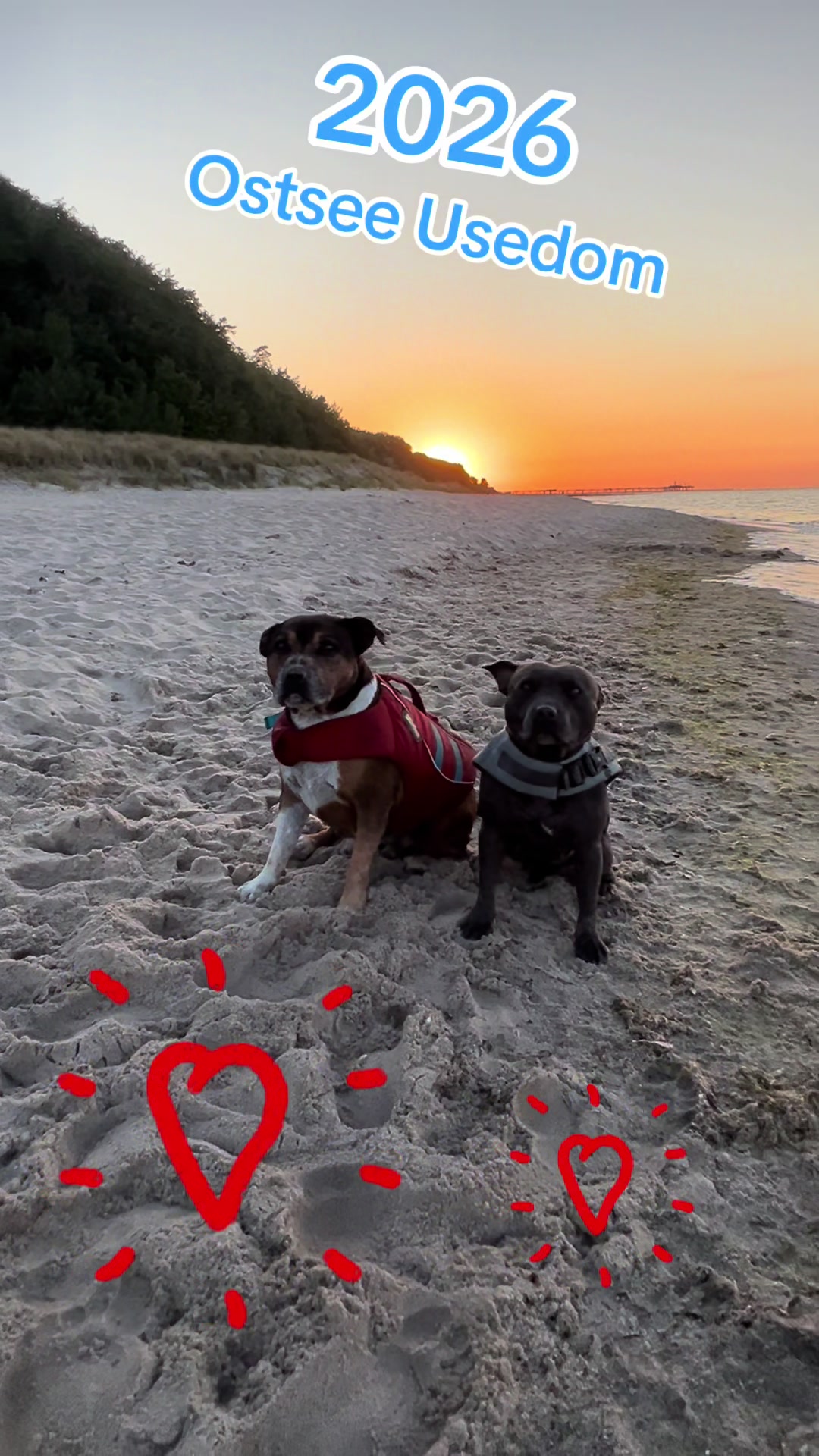 @Chris ❤️Tyson&Jola😍😎