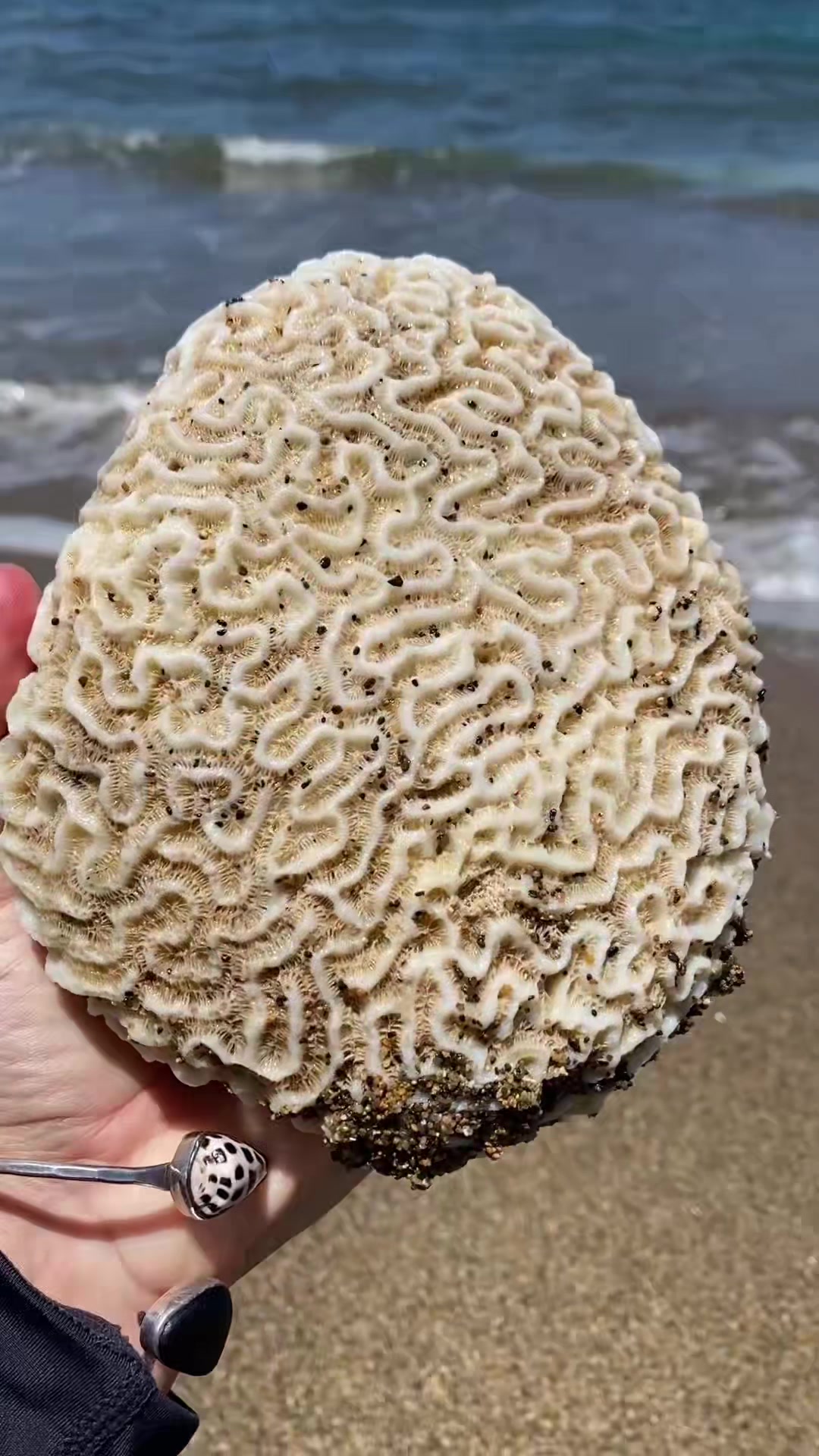 @🐚Jojo🌴