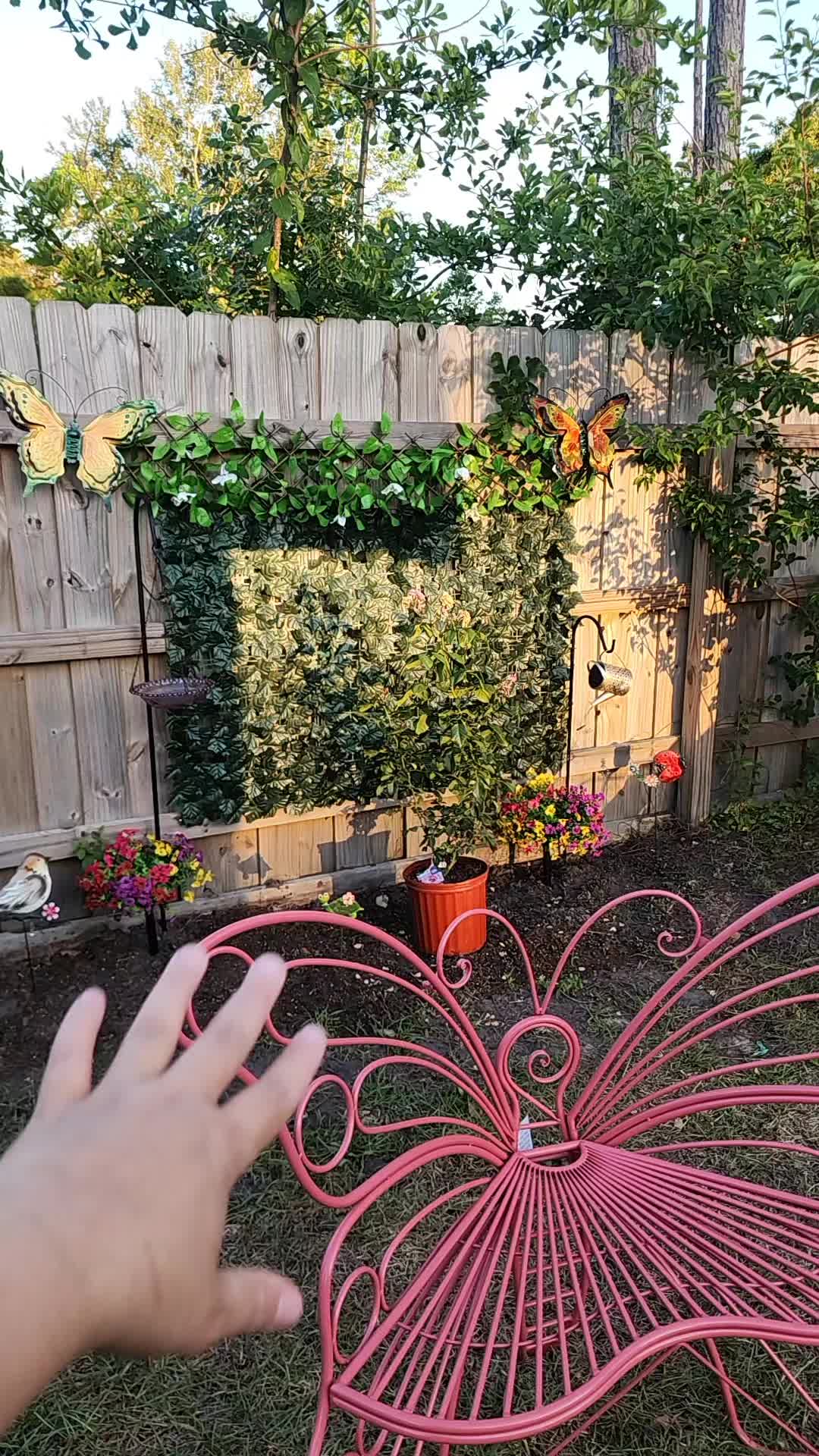 @Masiel 🦋