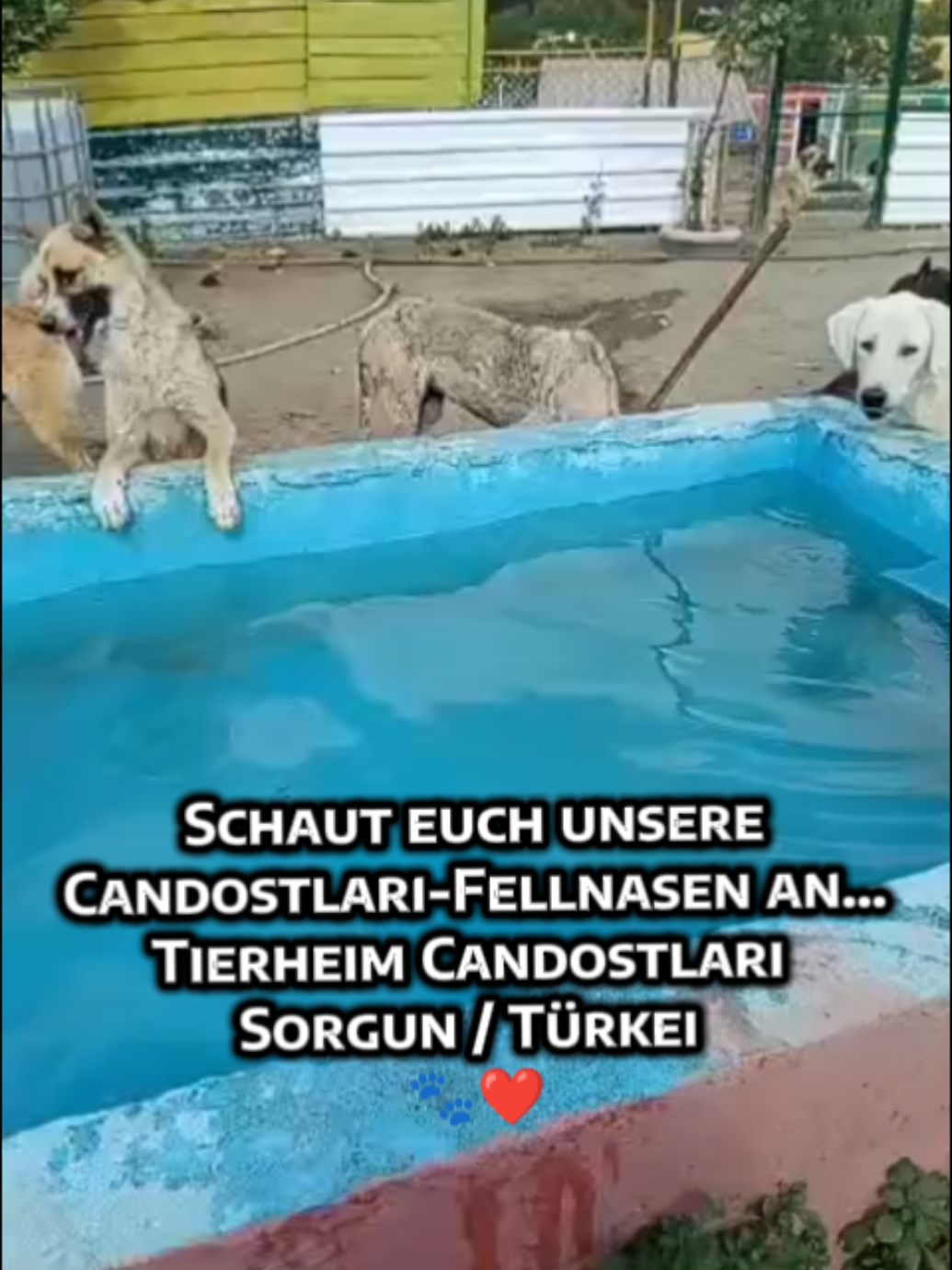 @TSV Candostlari-Beste Freunde