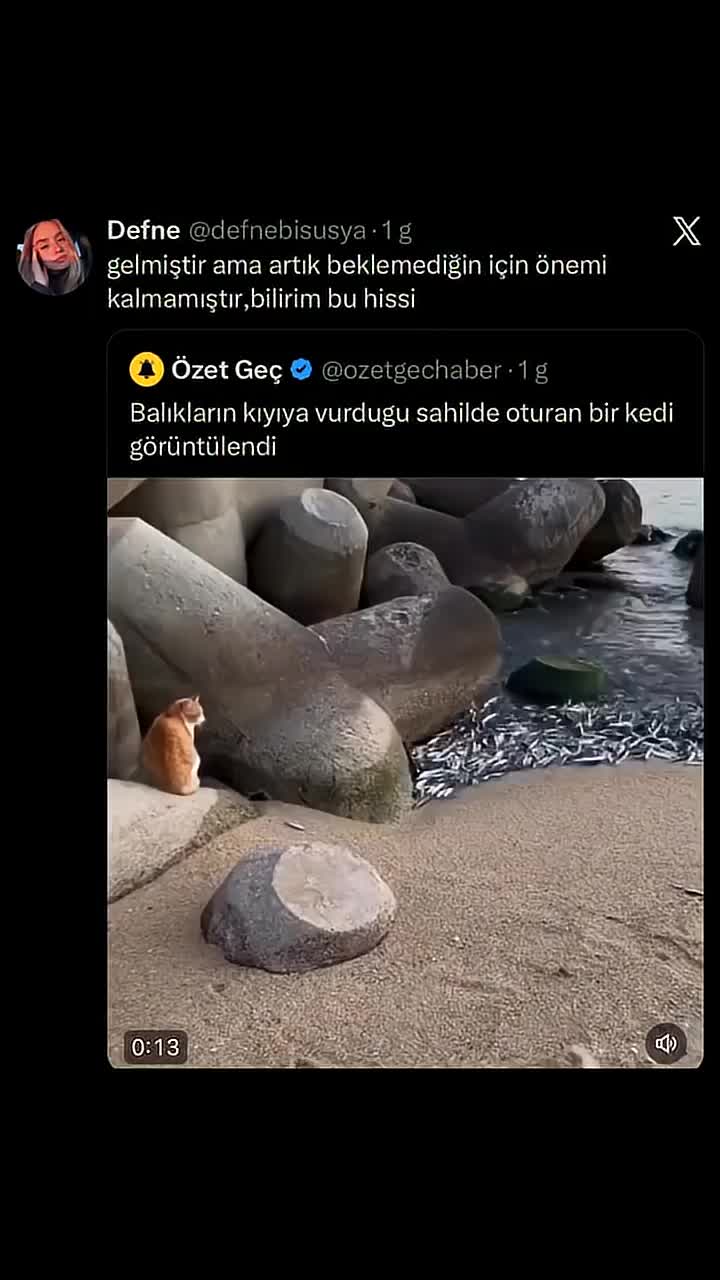@hayattan izler