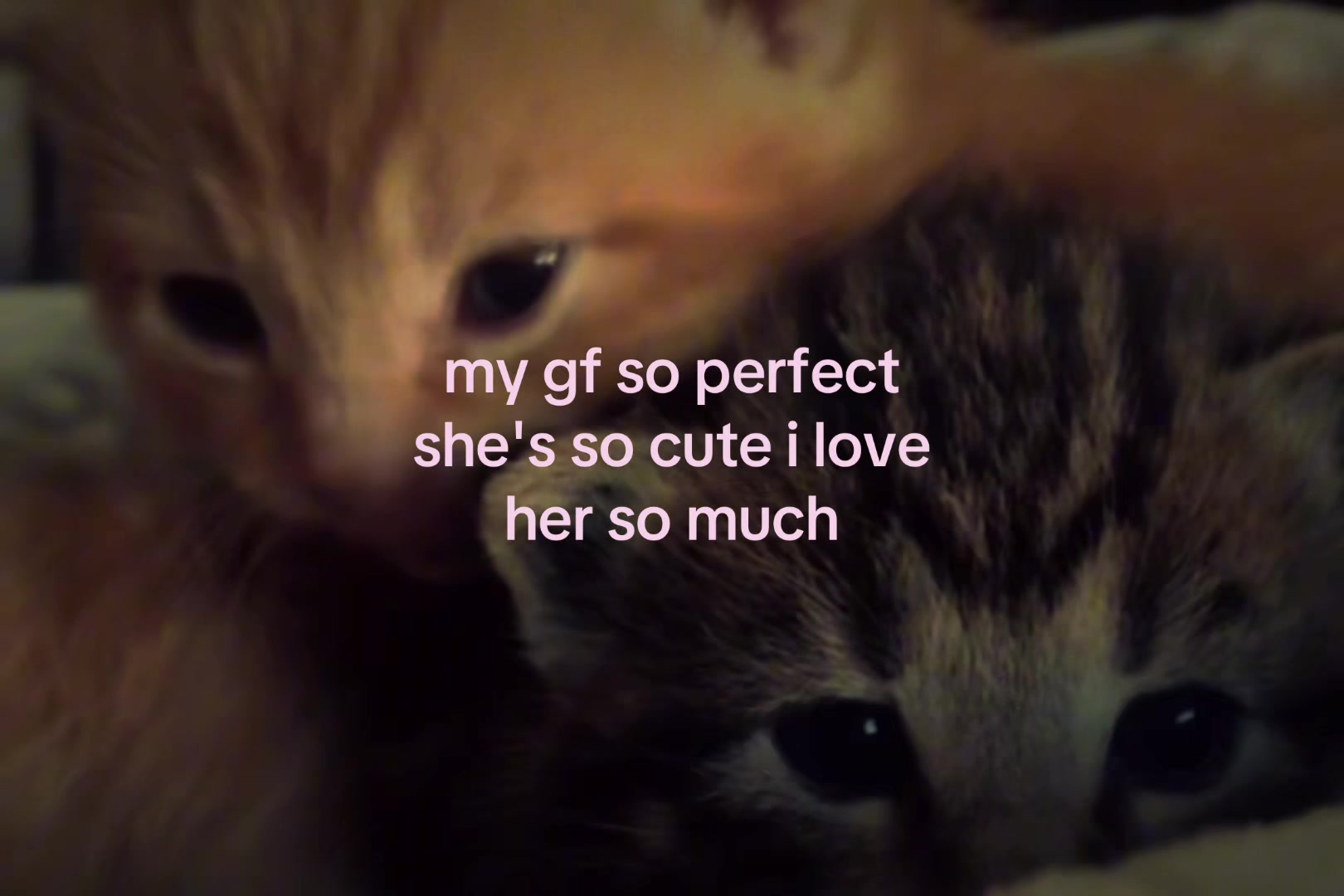 @sxalenz