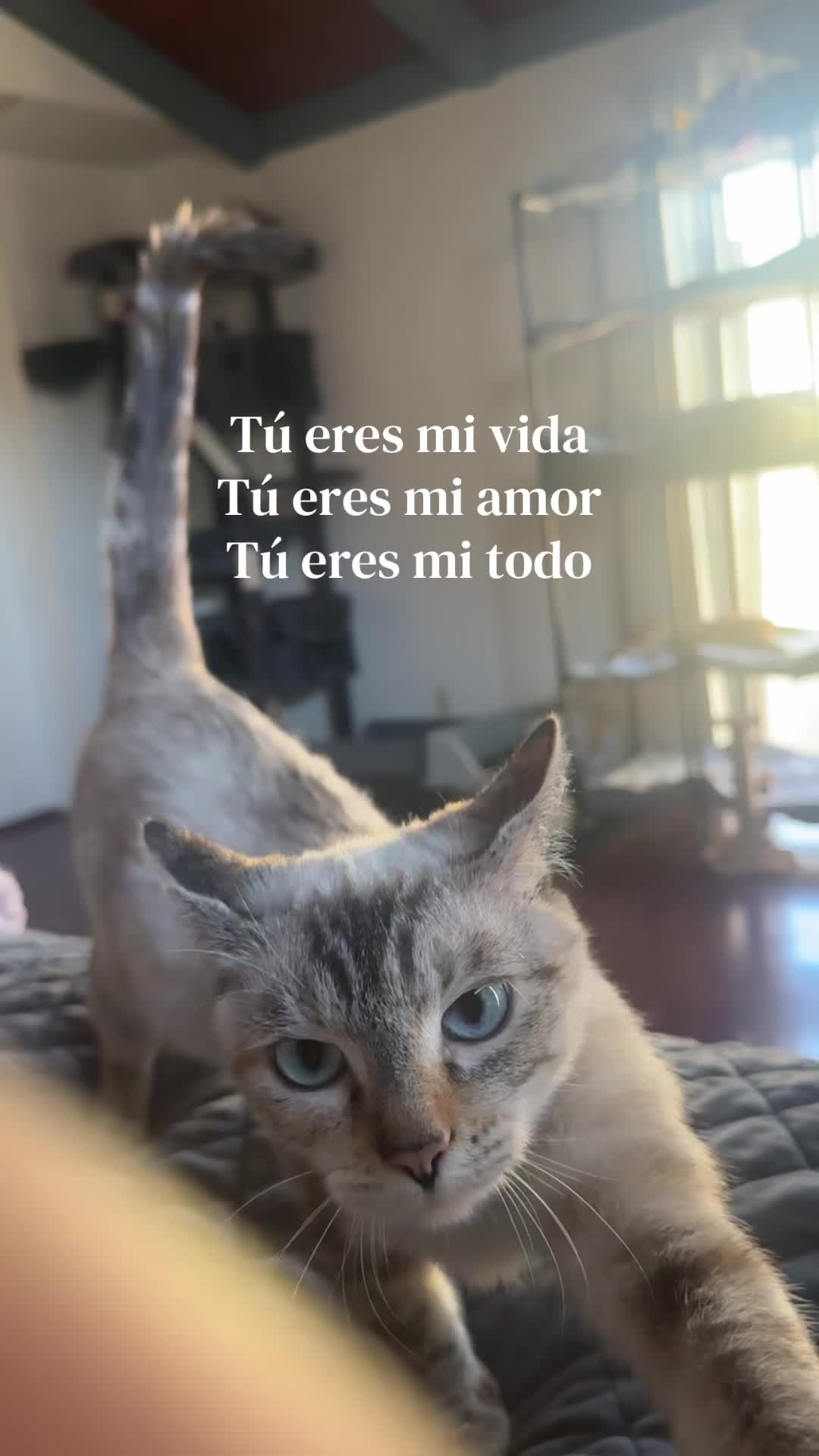 @Merari🧚&zwj;♀️