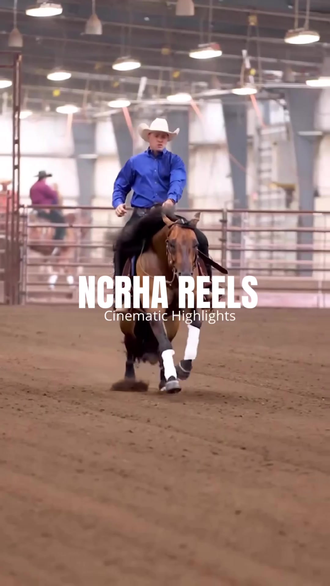 @Aubray | Equine Photographer