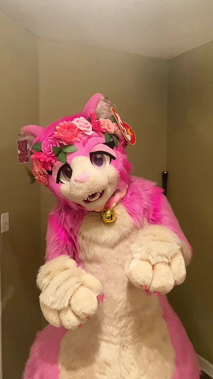 @AGayPinkCat